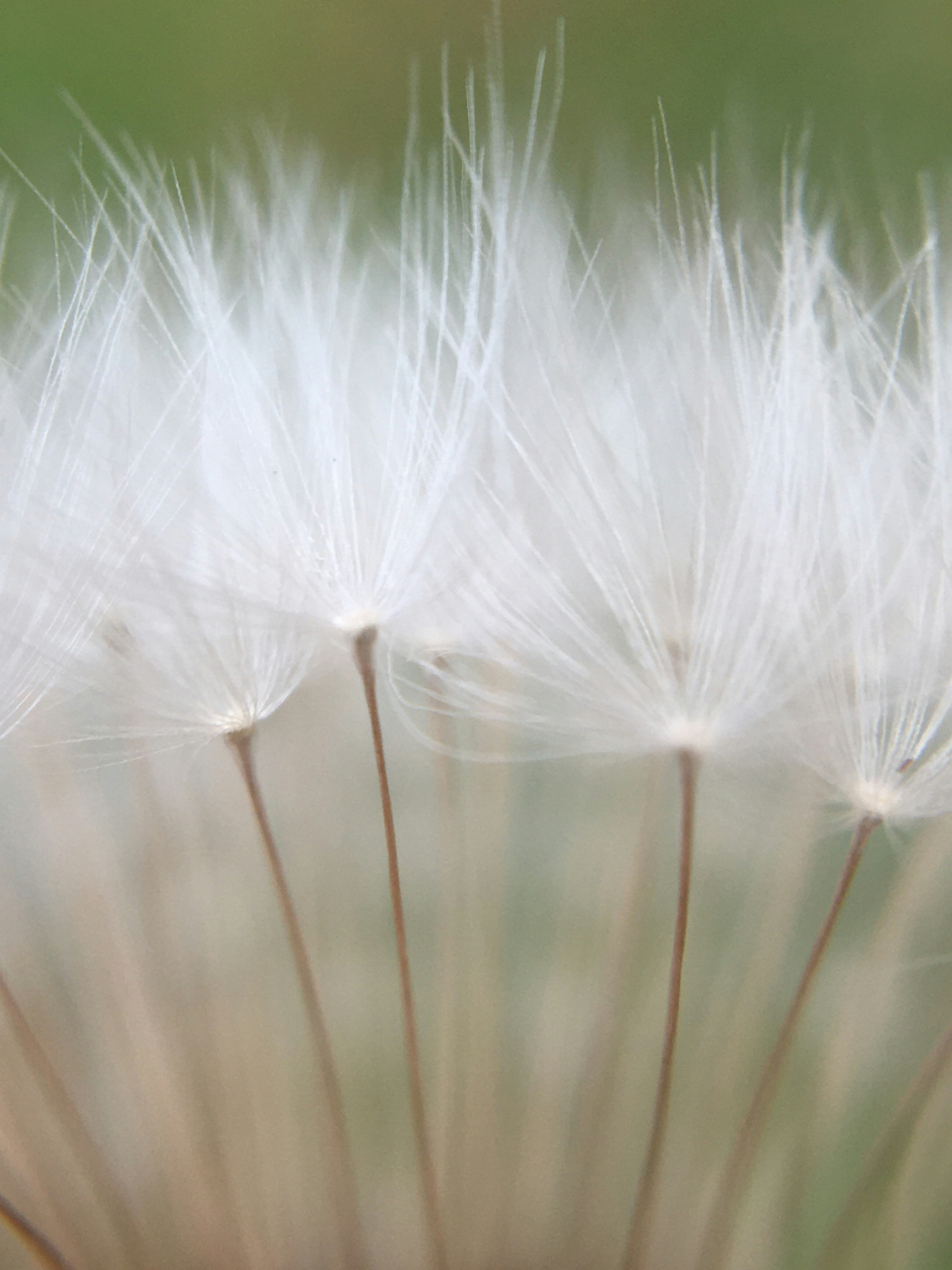 Photo by yunusemresezgi52