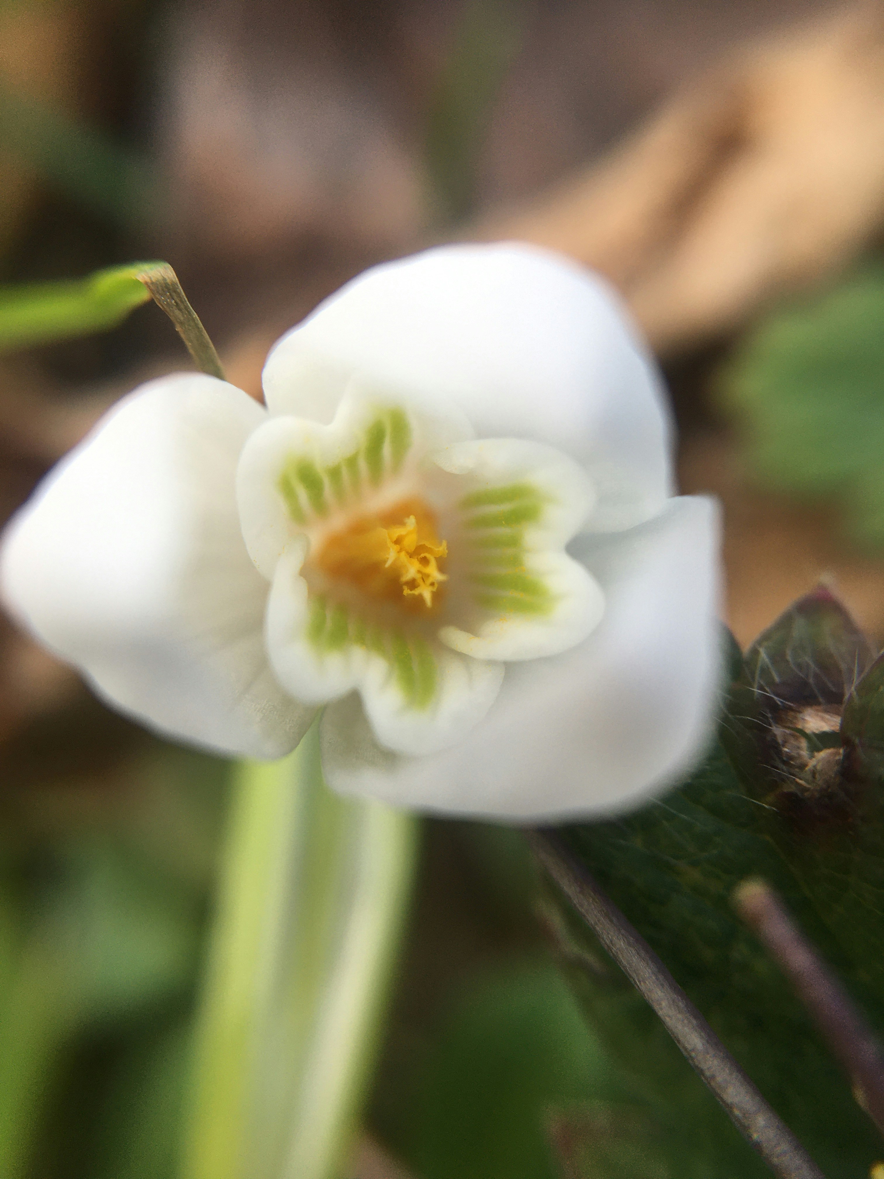 Photo by yunusemresezgi52