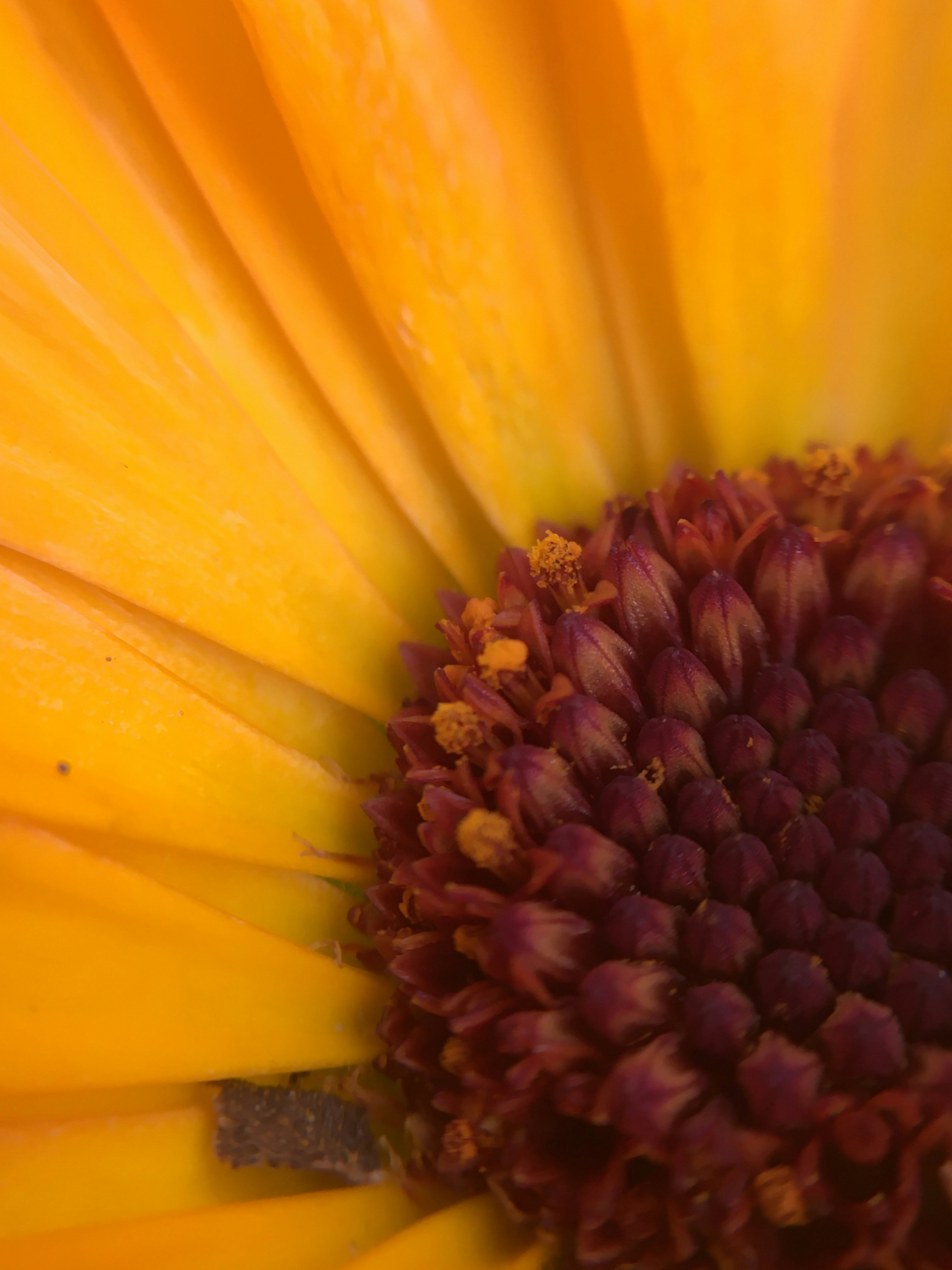 Photo by yunusemresezgi52