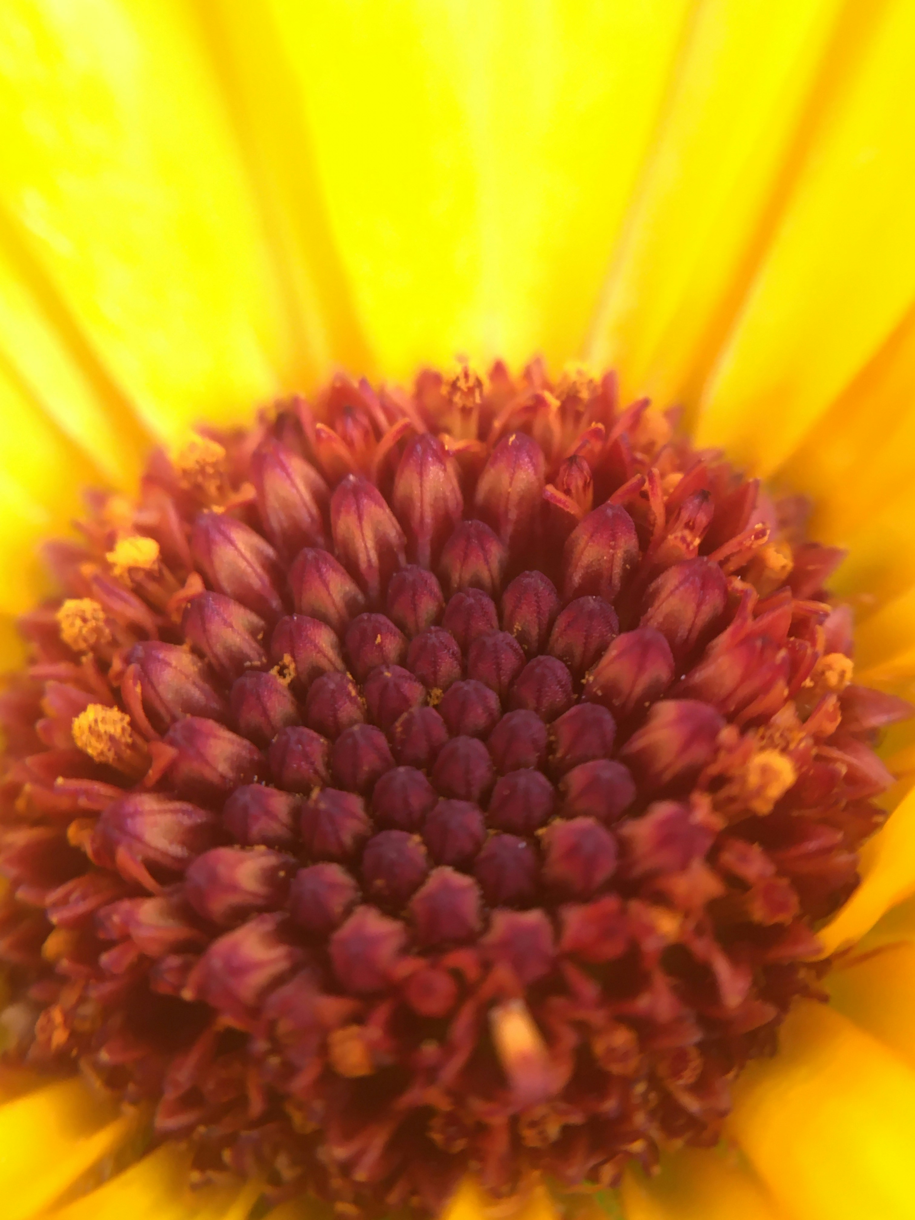 Photo by yunusemresezgi52