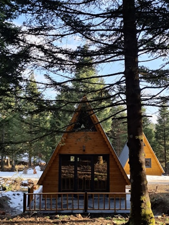 A small wooden cabin in the woods