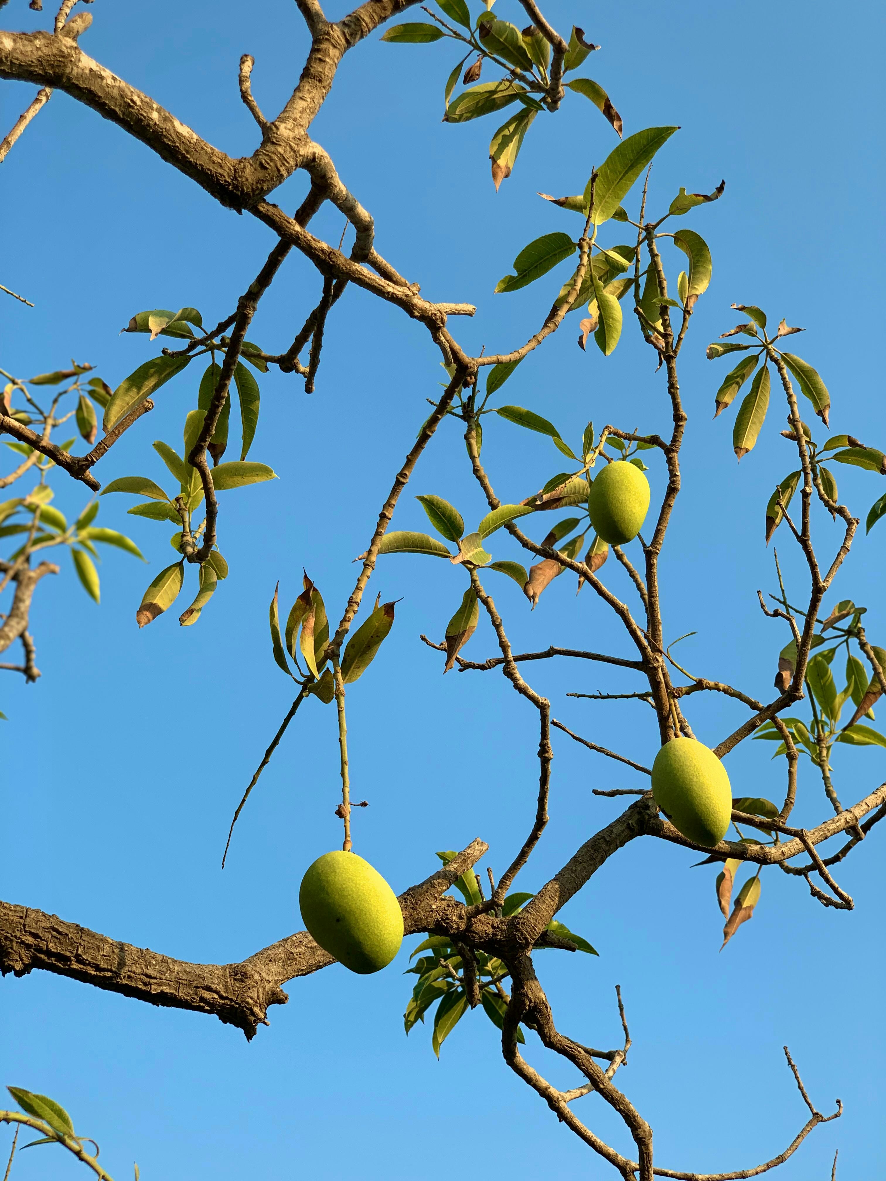 Photo by capturedbysufyan