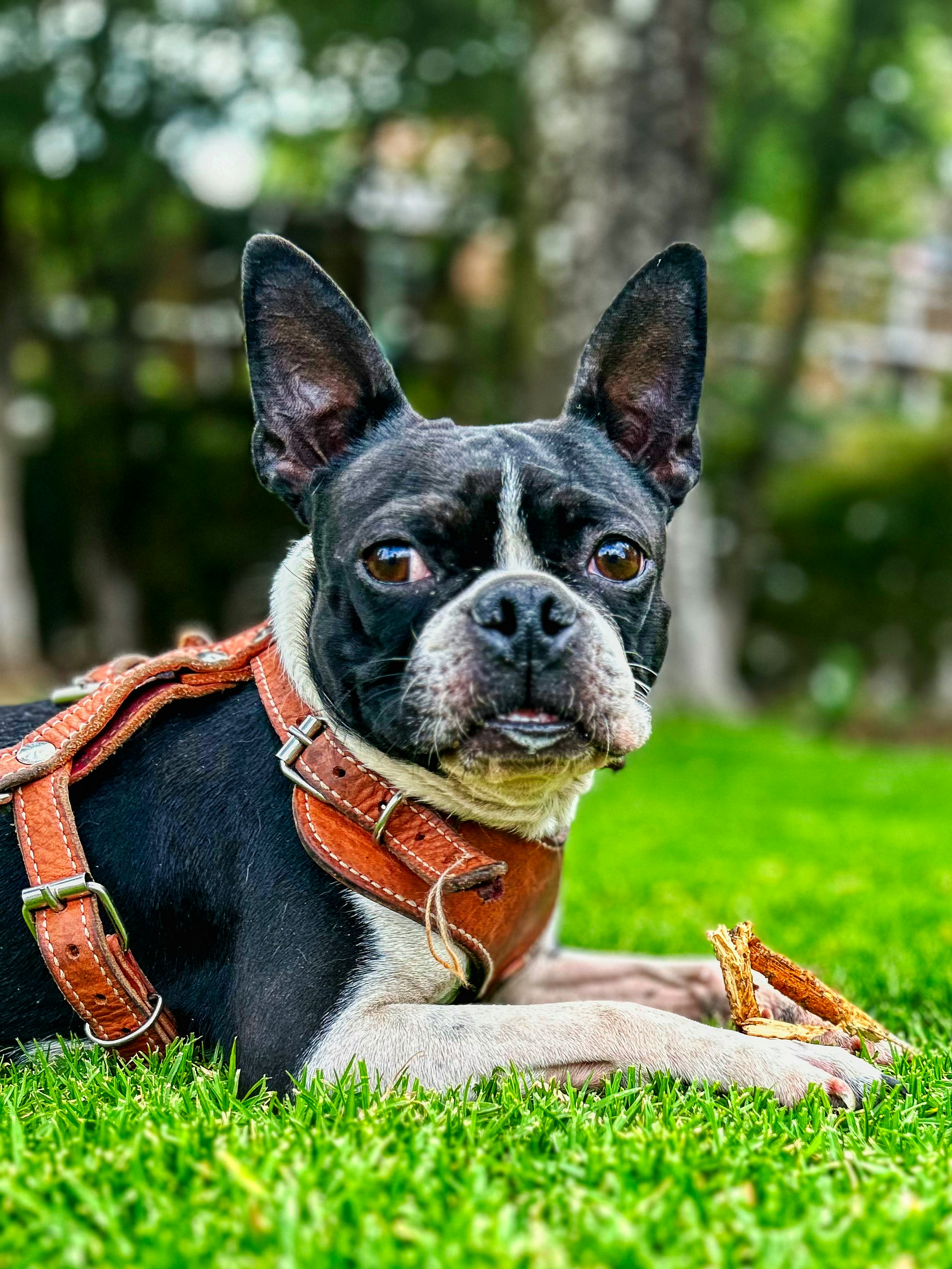 Photo by sergiomenamx