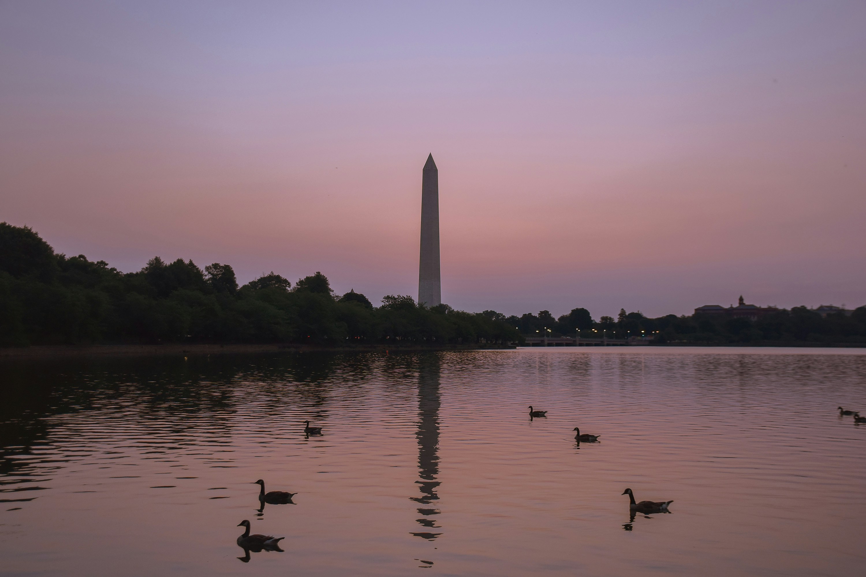 Photo by ellencreativestudio