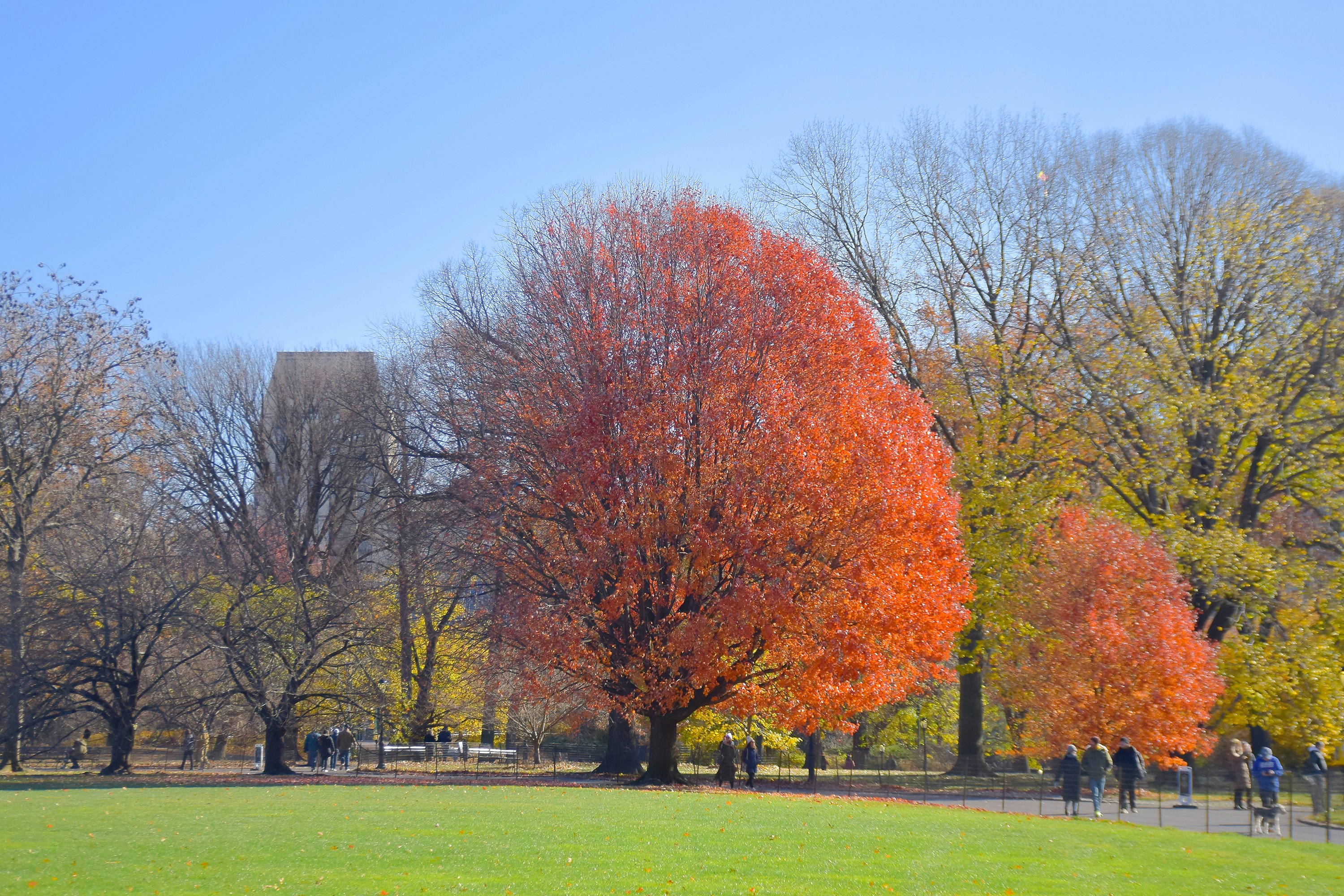 Photo by ellencreativestudio