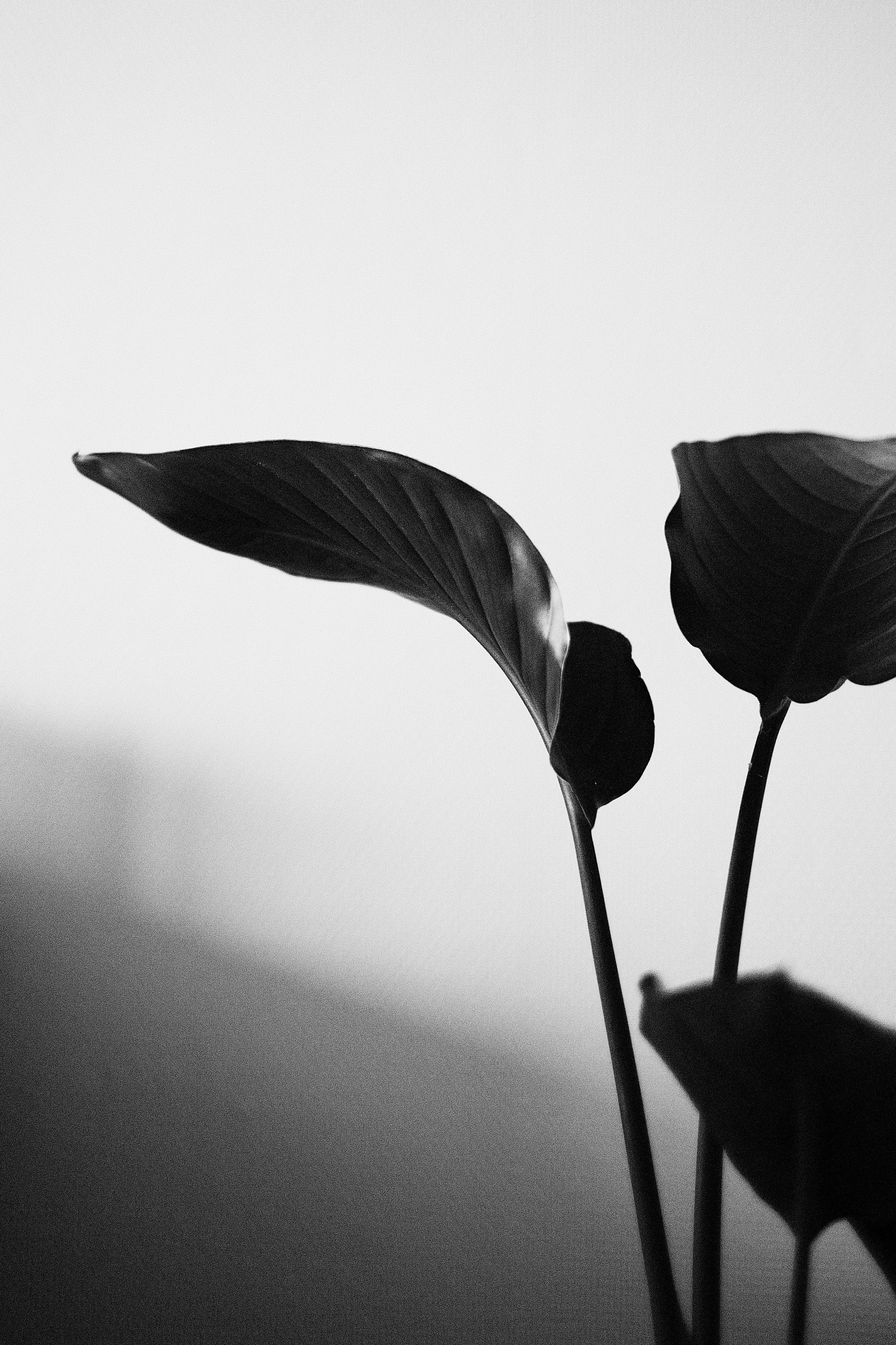 Photo by visualsbying