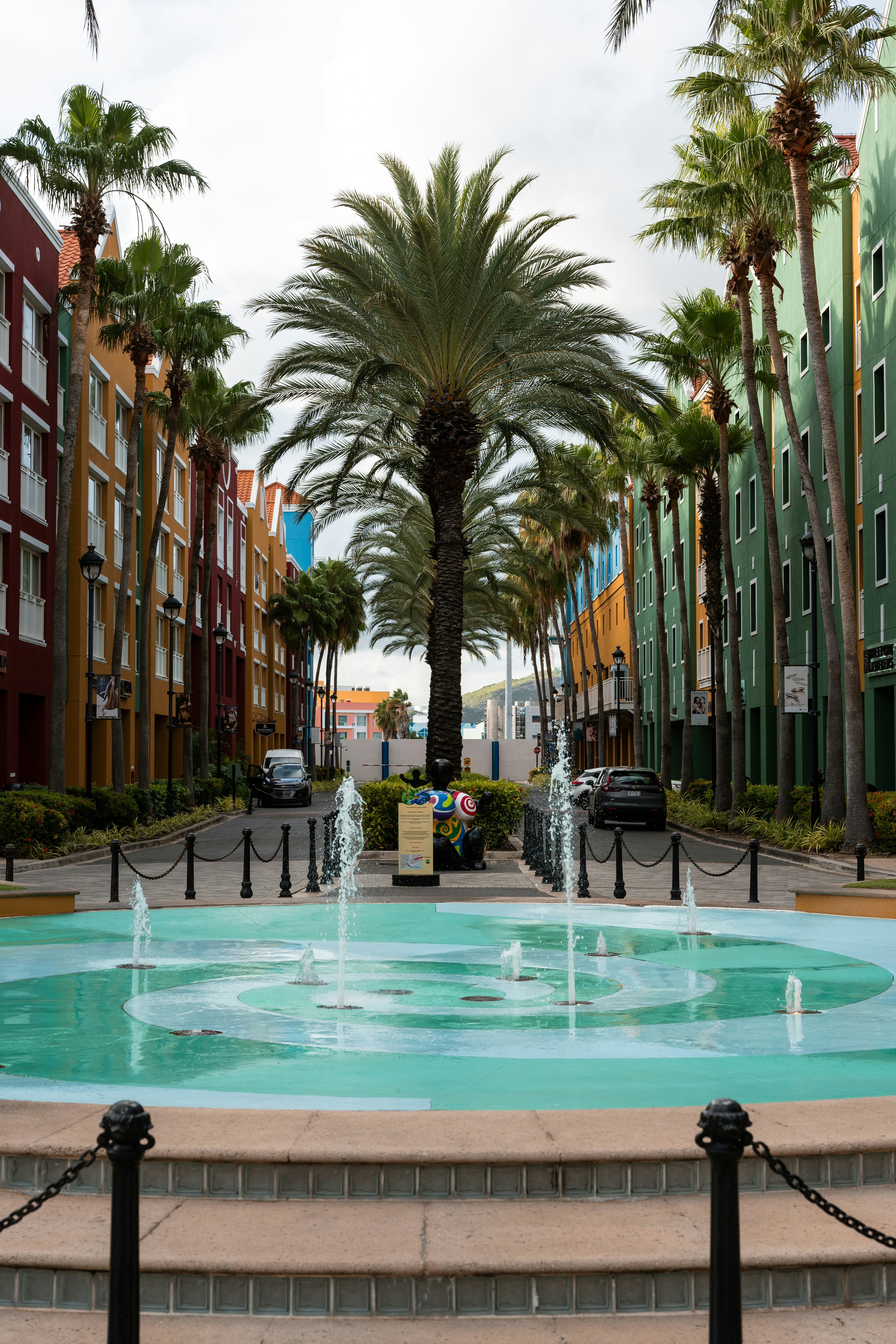 Photo by job_vermeulen