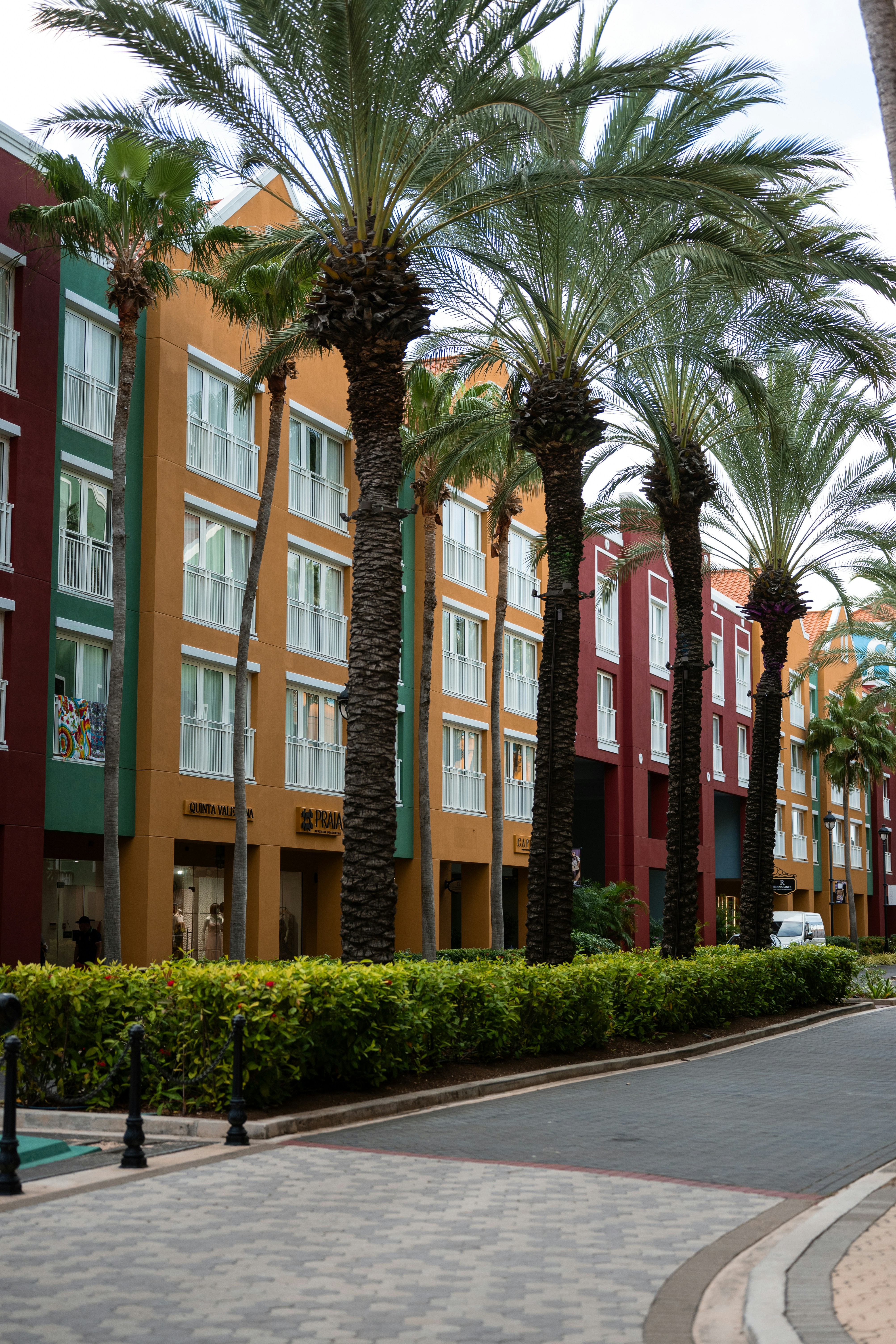 Photo by job_vermeulen