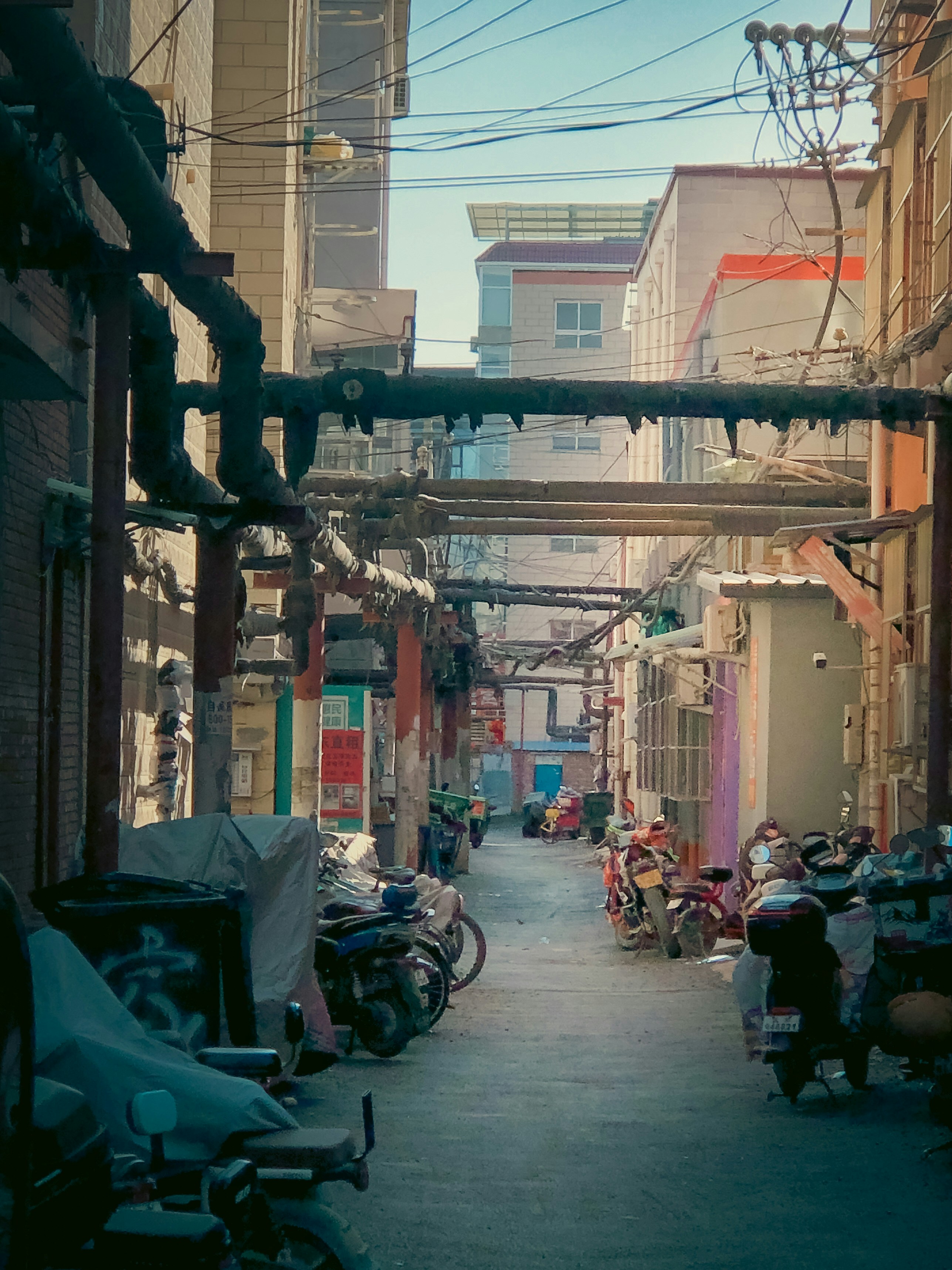 Photo by lyrax_photograph