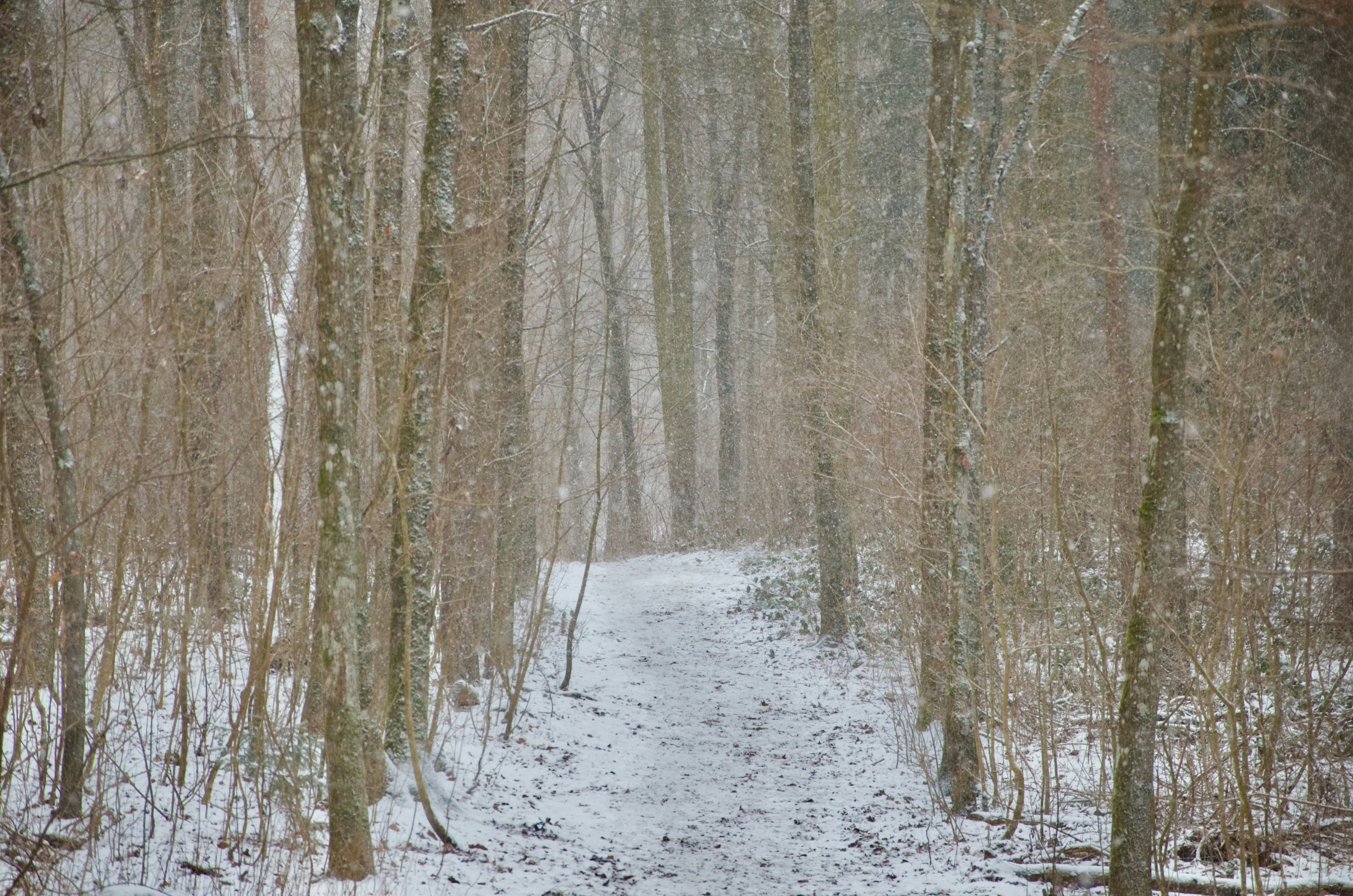 Photo by kacperekusmiechniety