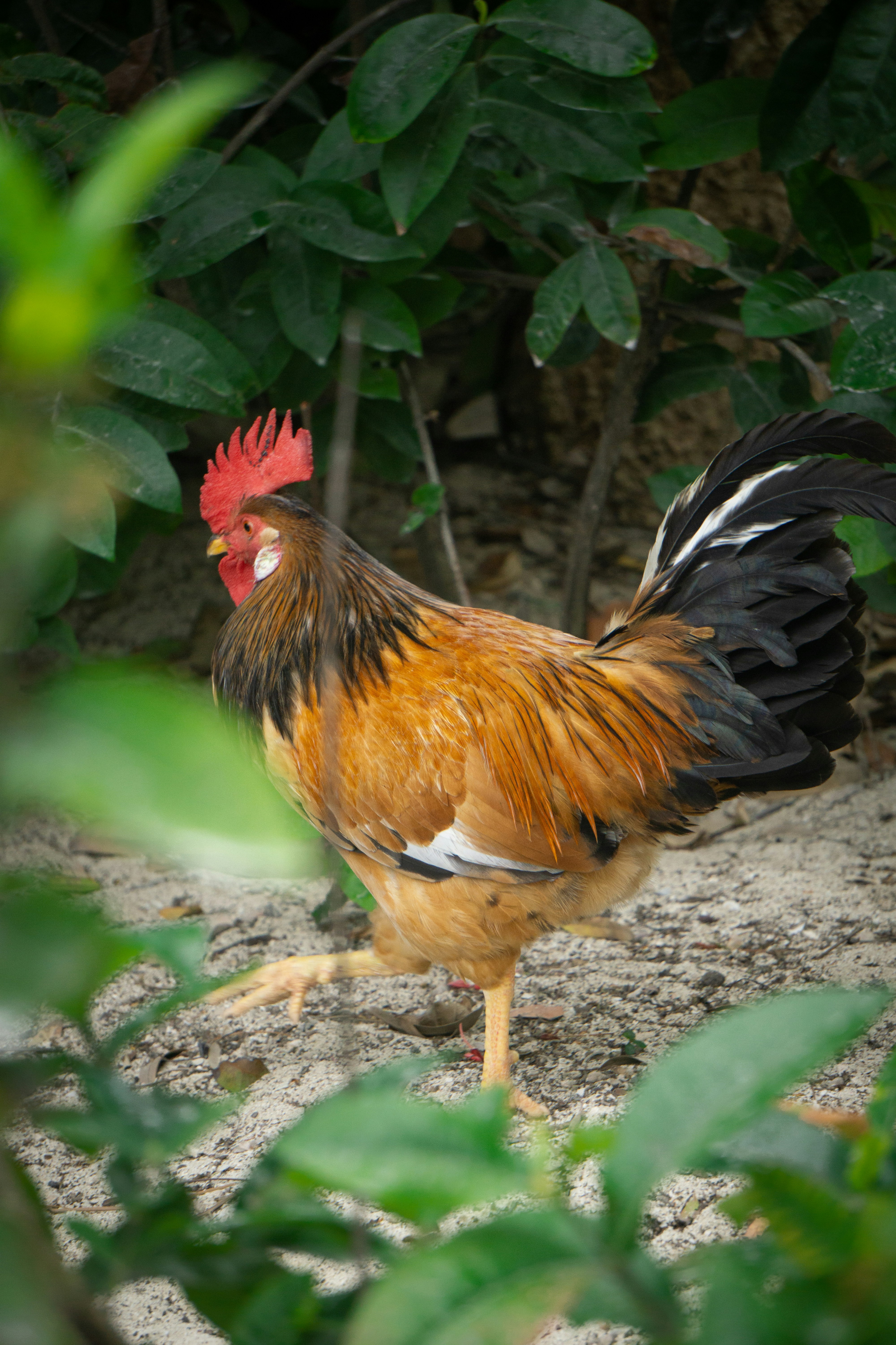 Photo by rollerroller8