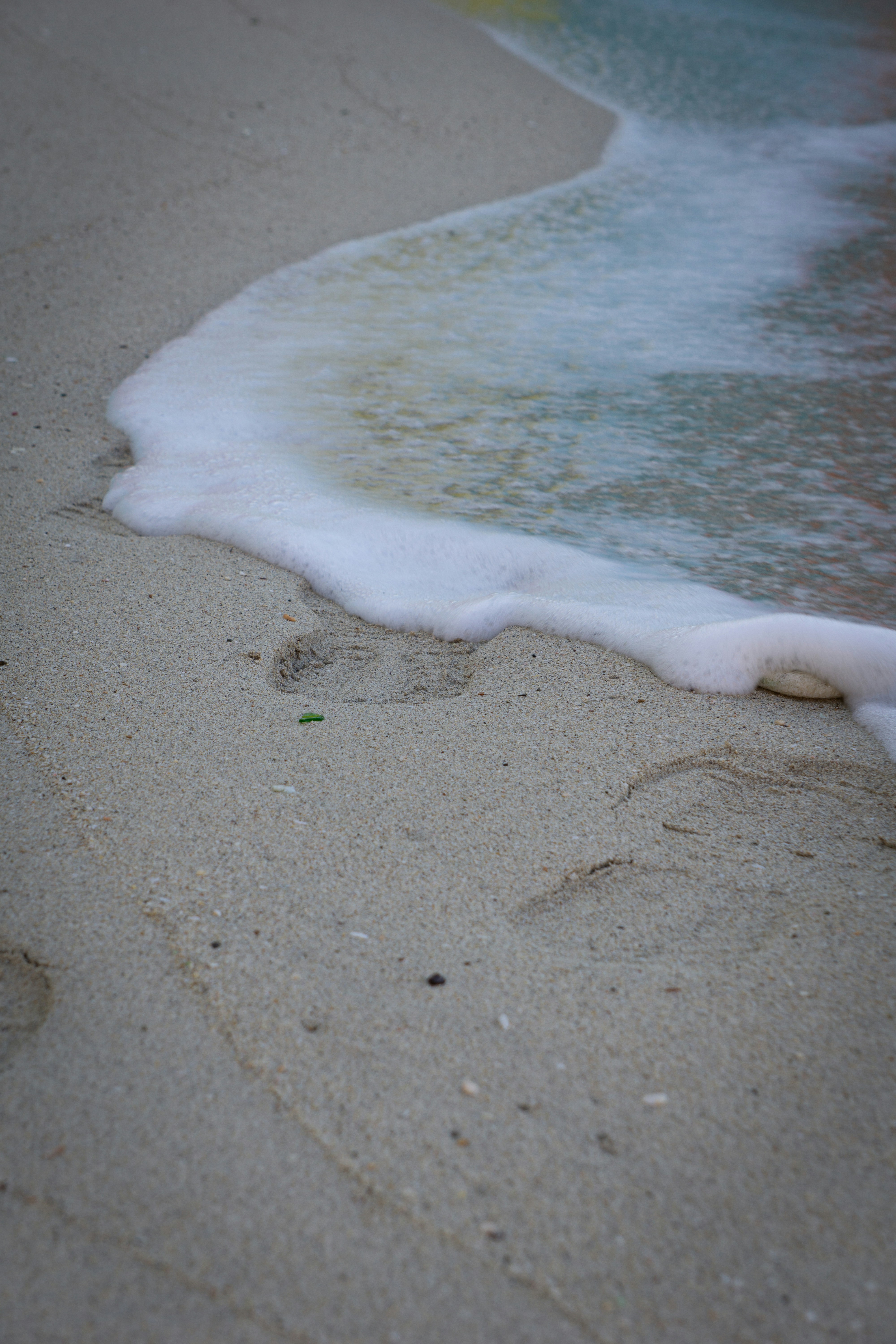 Photo by rollerroller8