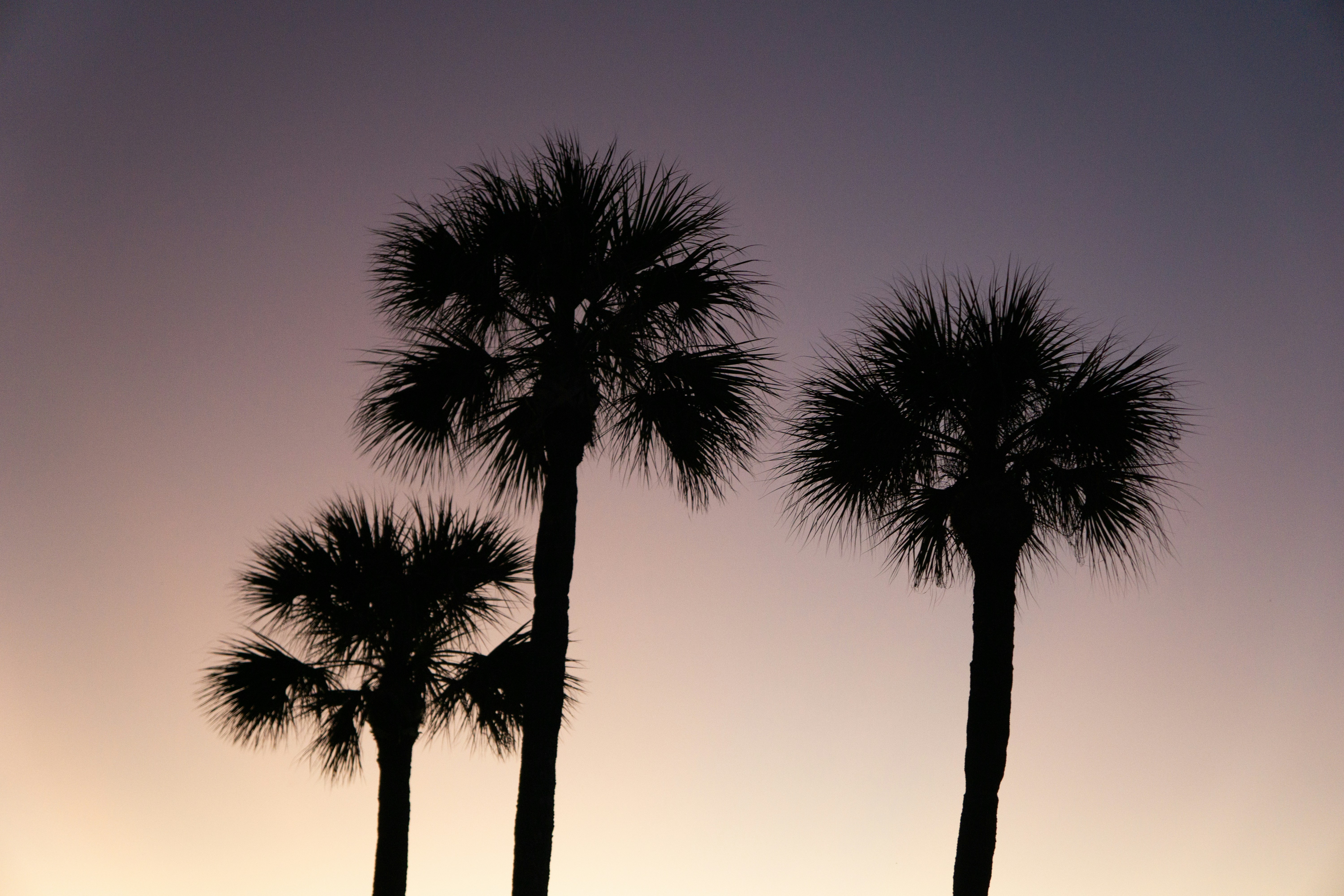 Photo by rollerroller8