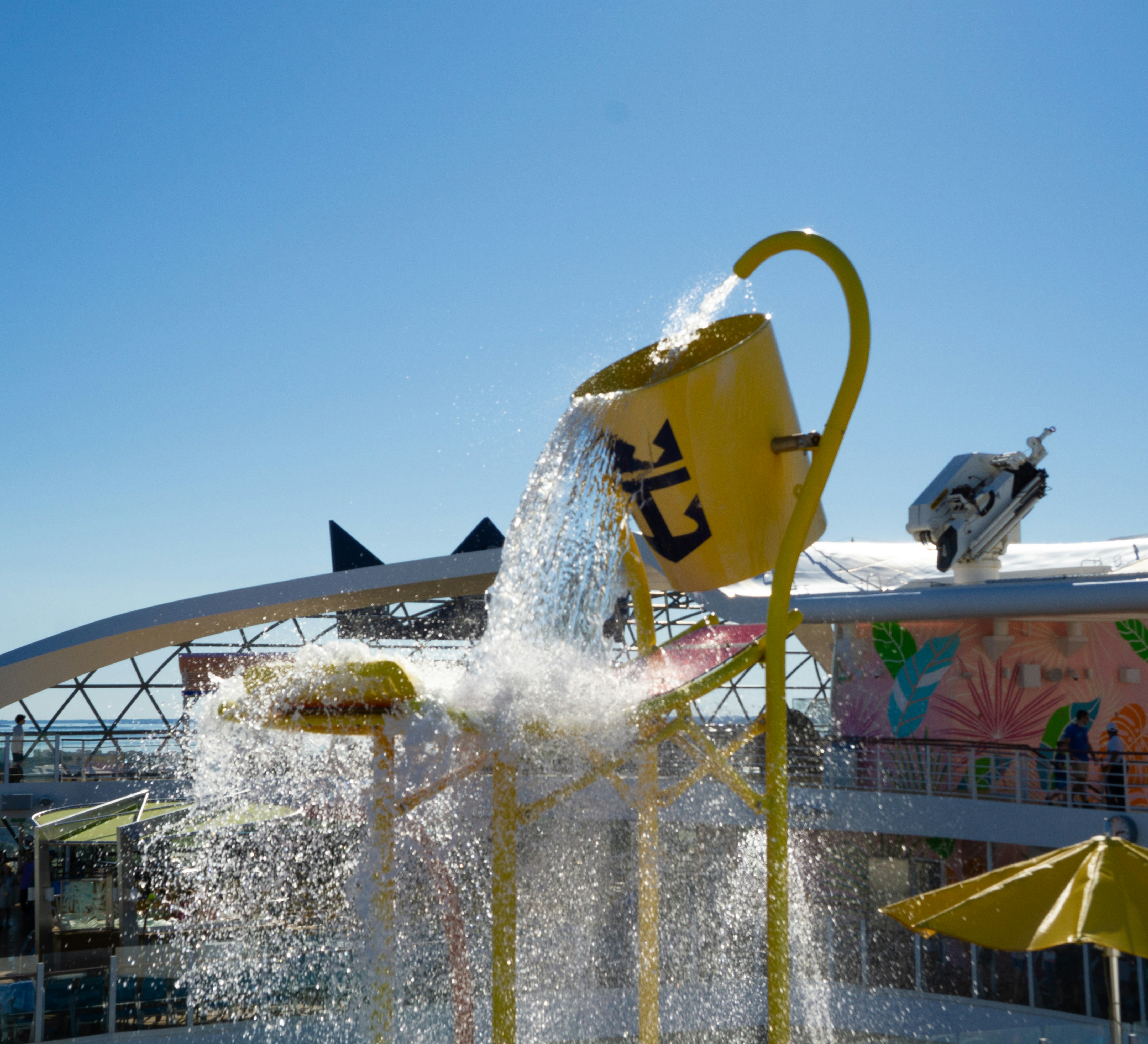 Photo by rollerroller8