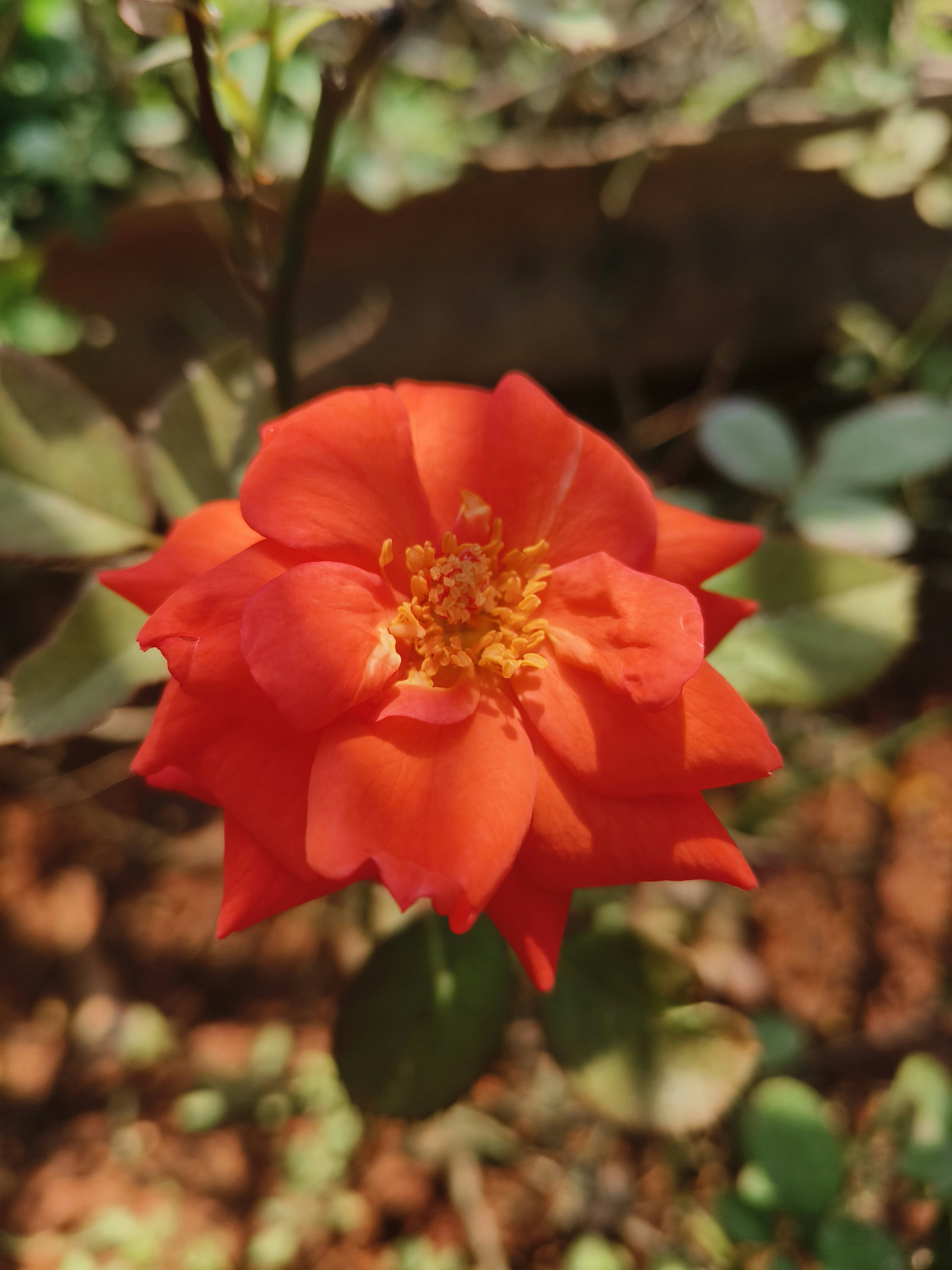 Photo by soul_of_nature