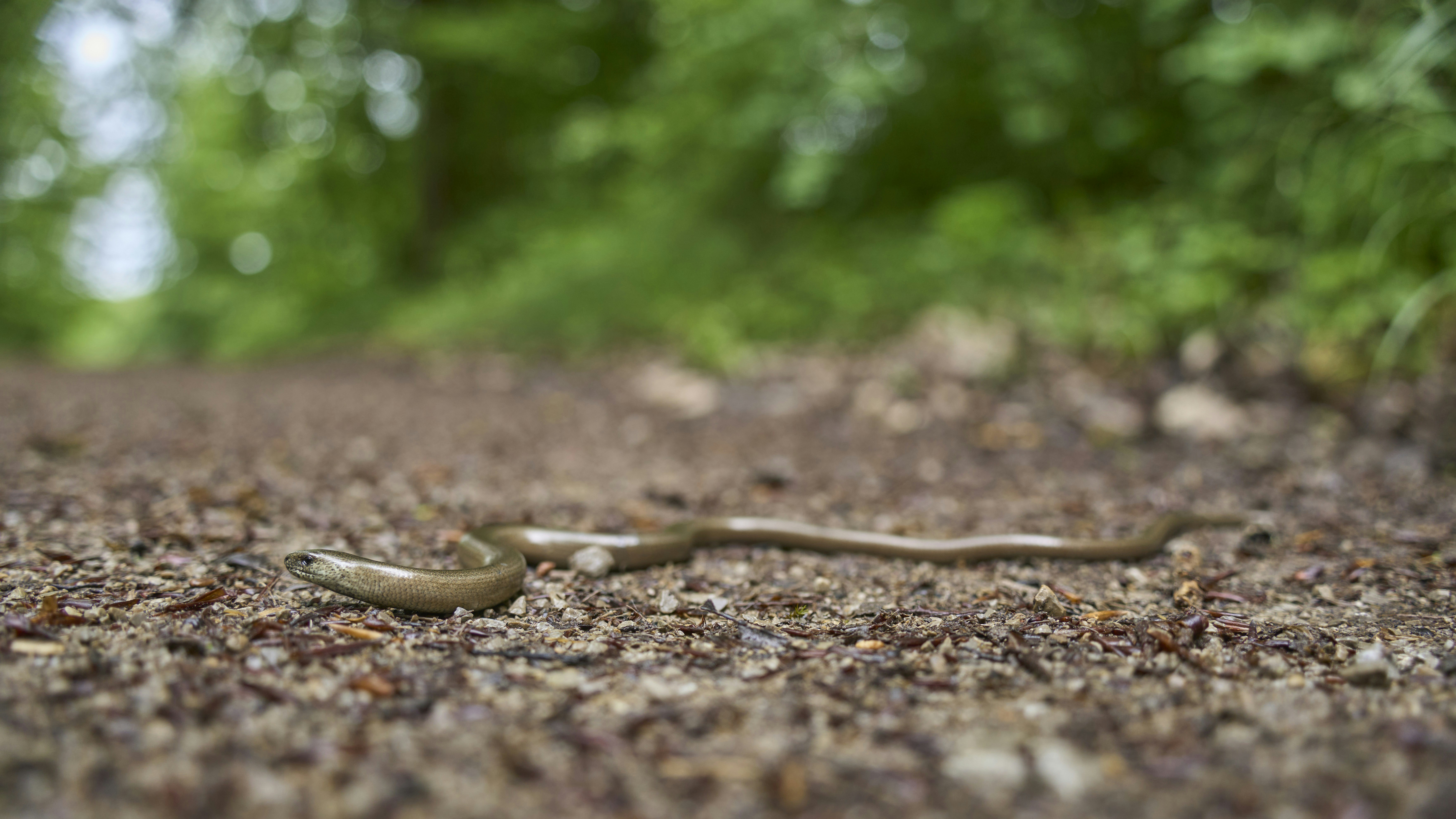 Photo by wolfgang_hasselmann