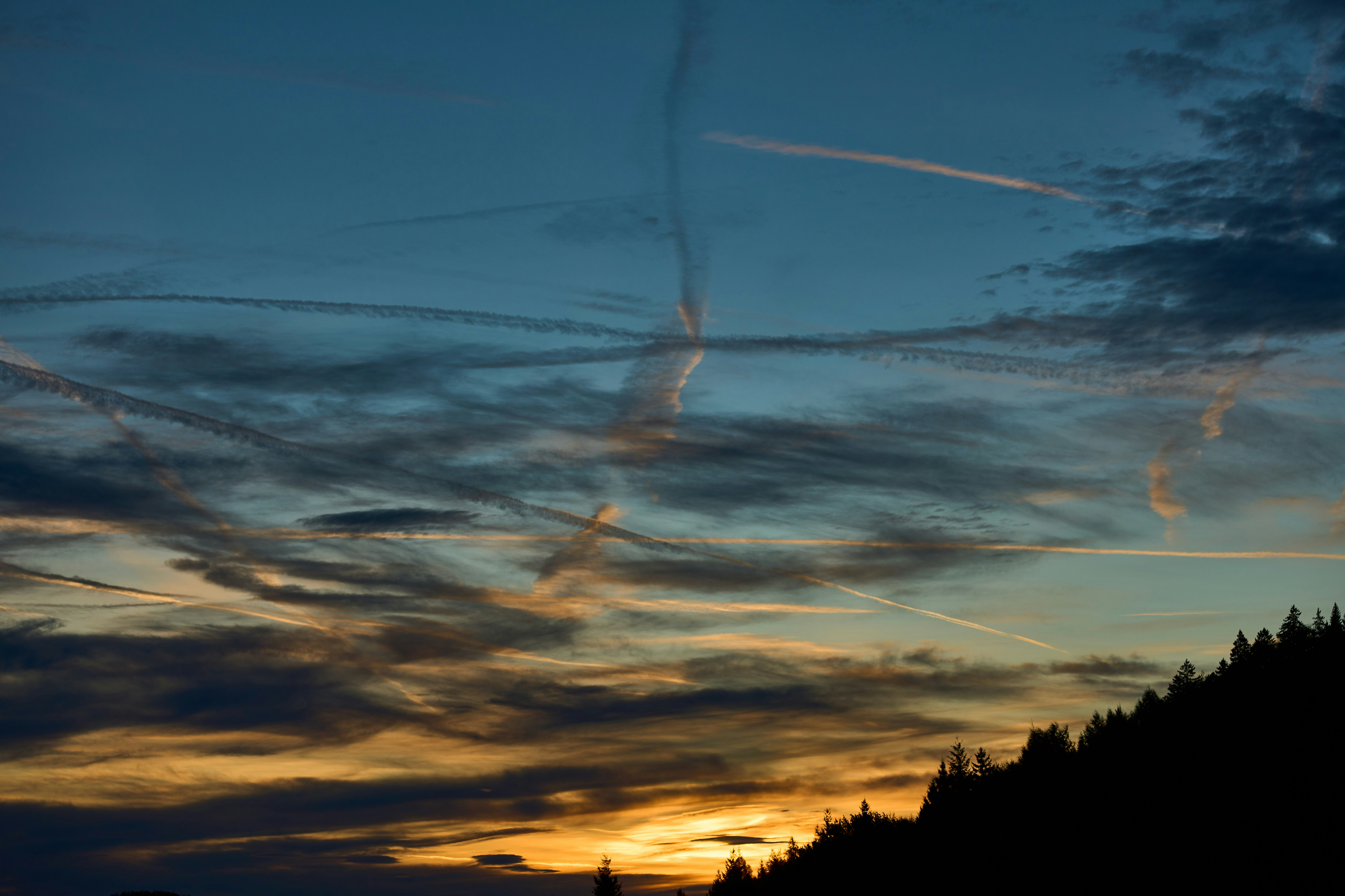 Photo by wolfgang_hasselmann