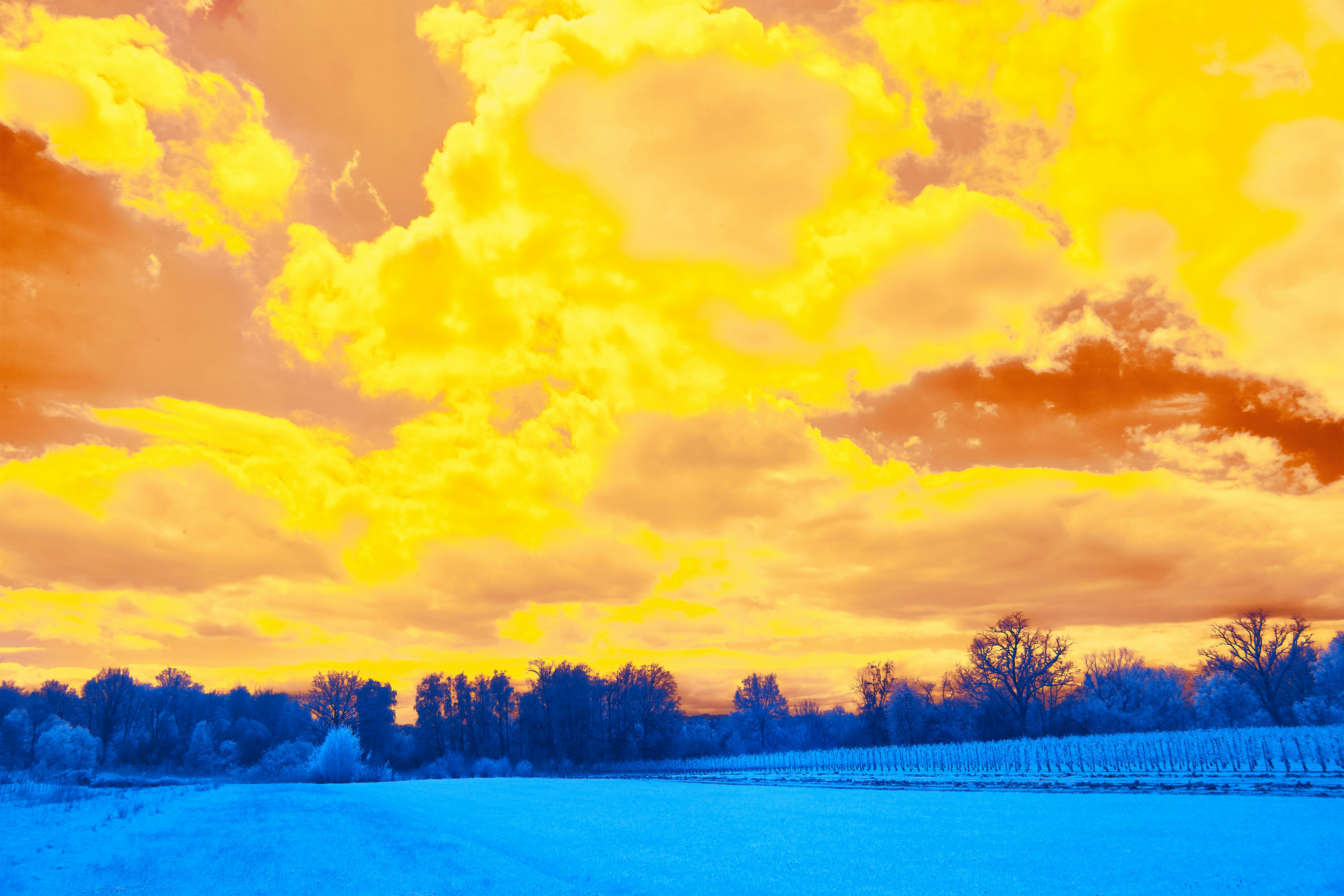 Photo by wolfgang_hasselmann