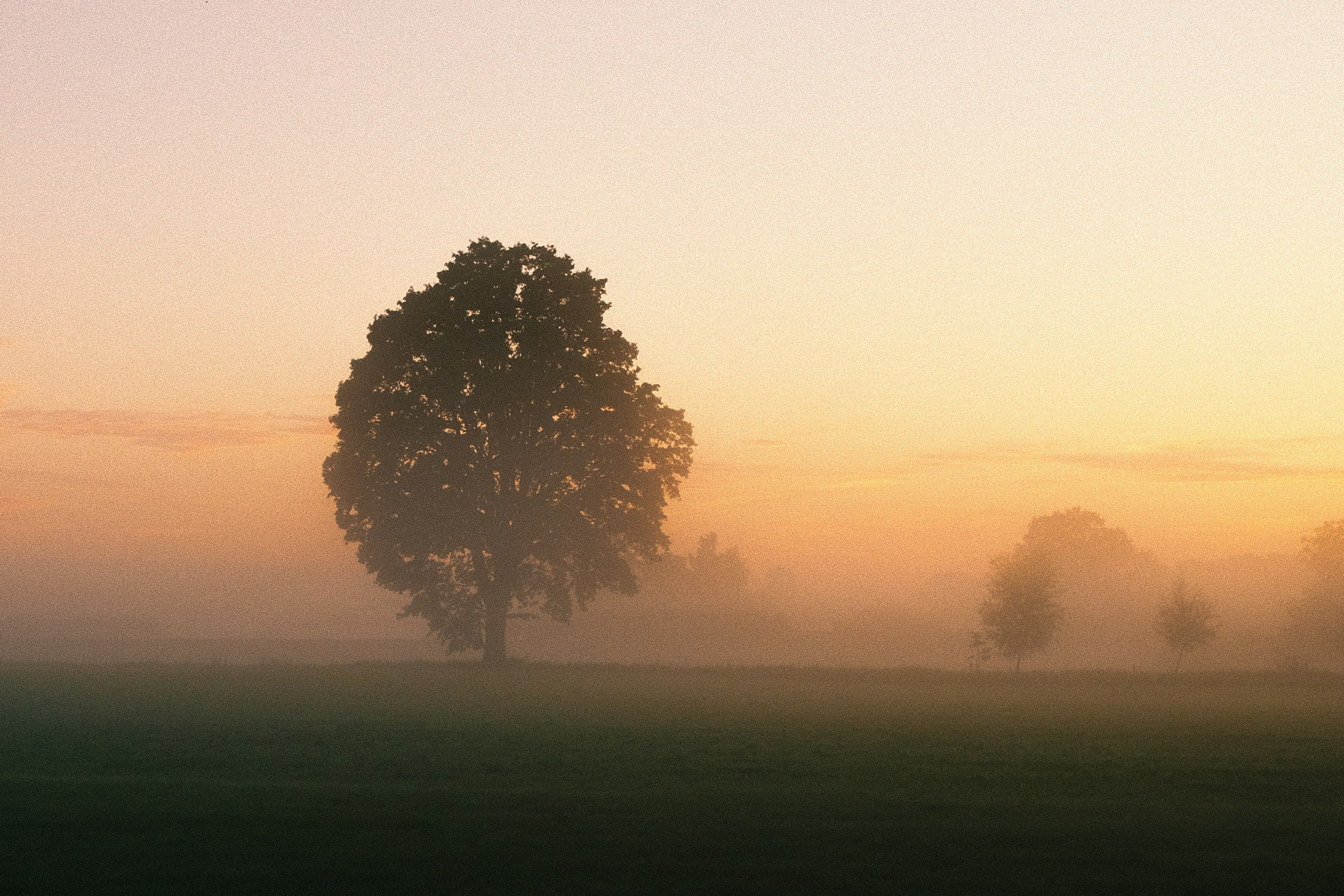 Photo by visualsbying