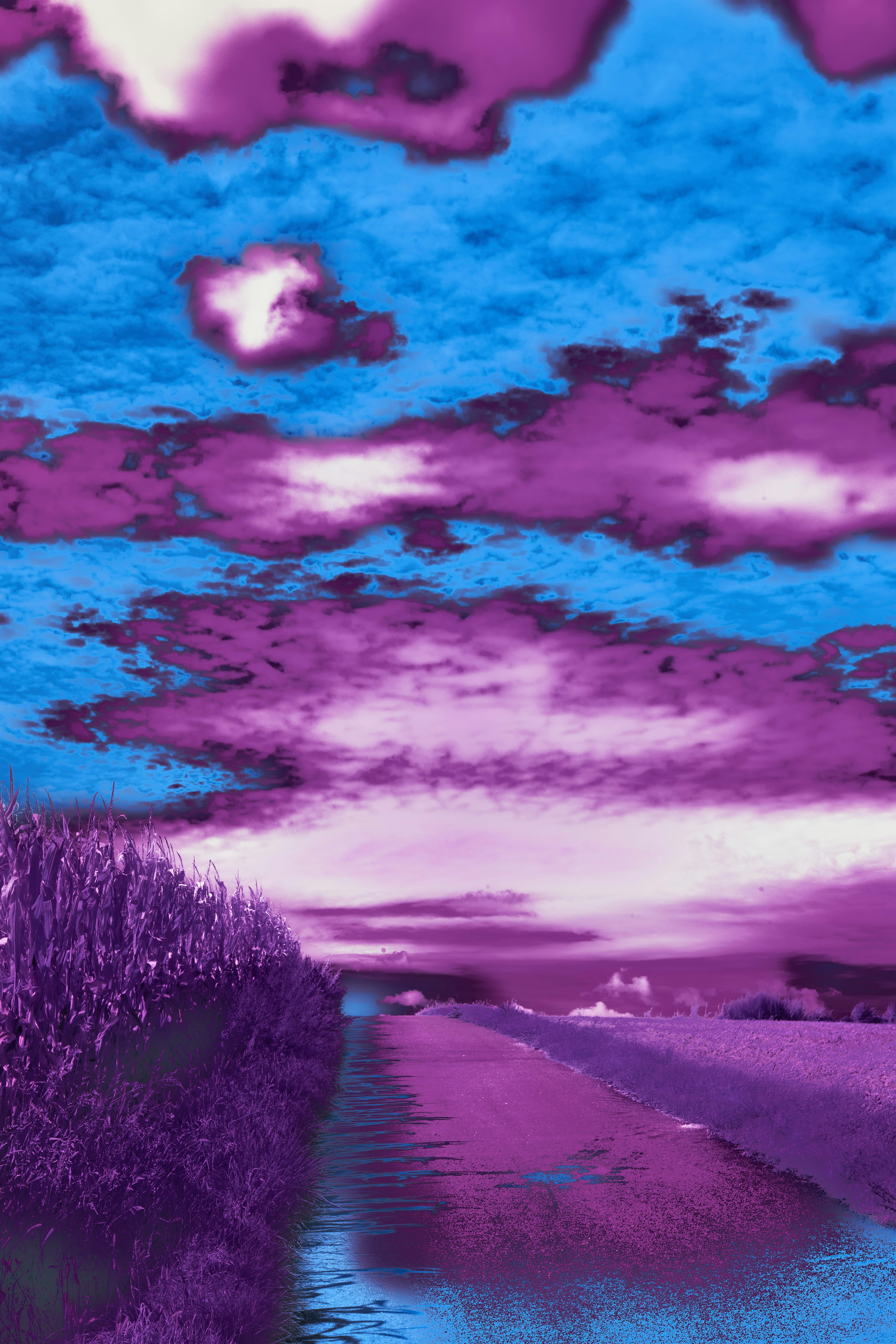 Photo by wolfgang_hasselmann