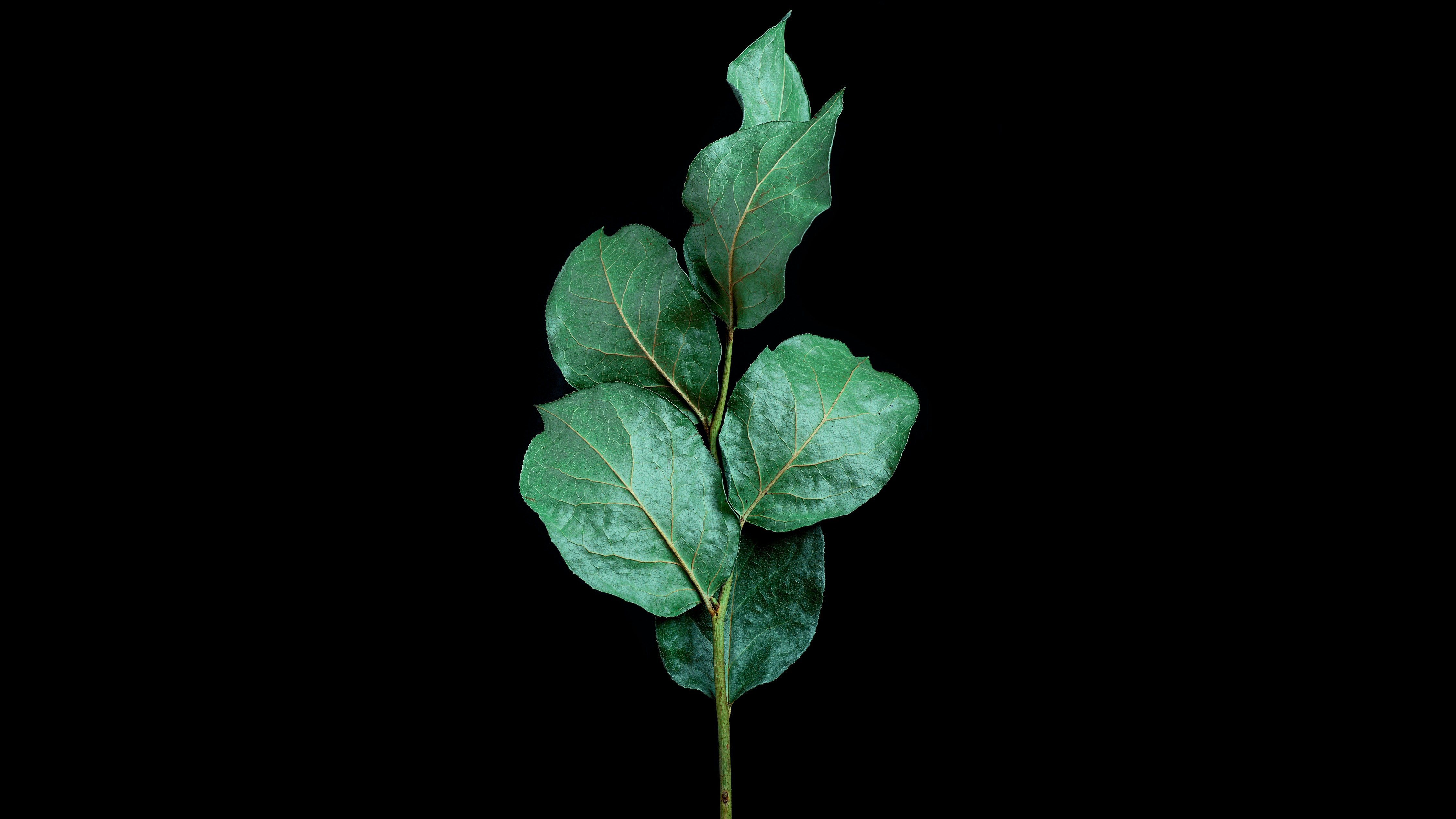 photo-1739643004572-e7fdf40cf6dd?ixid=M3wxMjA3fDB8MXxzZWFyY2h8MTl8fCVFRiVCRiVCRCVFRiVCRiVCRCVFRiVCRiVCRCVFRiVCRiVCRCVFRiVCRiVCRCVFRiVCRiVCRCVFRiVCRiVCRCVFRiVCRiVCRCVFRiVCRiVCRCVFRiVCRiVCRCVFRiVCRiVCRCVFRiVCRiVCRCVFRiVCRiVCRCVFRiVCRiVCRCVFRiVCRiVCRCUyMCVFRiVCRiVCRCVFRiVCRiVCRCVFRiVCRiVCRCVFRiVCRiVCRCVFRiVCRiVCRCVFRiVCRiVCRCUyMCVFRiVCRiVCRCVFRiVCRiVCRCVFRiVCRiVCRCVFRiVCRiVCRCVFRiVCRiVCRCVFRiVCRiVCRCVFRiVCRiVCRCVFRiVCRiVCRCVFRiVCRiVCRCUyMDElM0ExJTIwJUVGJUJGJUJEJUVGJUJGJUJEJUVGJUJGJUJEJUVGJUJGJUJEJUVGJUJGJUJEJUVGJUJGJUJEJTIwJUVGJUJGJUJEJUVGJUJGJUJEJUVGJUJGJUJEJUVGJUJGJUJEJUVGJUJGJUJEJUVGJUJGJUJEJUVGJUJGJUJEJUVGJUJGJUJEJUVGJUJGJUJEJTIwJUVGJUJGJUJEJUVGJUJGJUJEJUVGJUJGJUJEJUVGJUJGJUJEJUVGJUJGJUJEJUVGJUJGJUJEJTIwJUVGJUJGJUJEJUVGJUJGJUJEJUVGJUJGJUJEJUVGJUJGJUJEJUVGJUJGJUJEJUVGJUJGJUJEJUVGJUJGJUJEJUVGJUJGJUJEJUVGJUJGJUJEJTIwJUVGJUJGJUJEJUVGJUJGJUJEJUVGJUJGJUJEJUVGJUJGJUJEJUVGJUJGJUJEJUVGJUJGJUJEJUVGJUJGJUJEJUVGJUJGJUJEJUVGJUJGJUJEJUVGJUJGJUJEJUVGJUJGJUJEJUVGJUJGJUJEJUVGJUJGJUJEJUVGJUJGJUJEJUVGJUJGJUJEfGVufDB8fHx8MTc2ODM3MjIwOXww\u0026ixlib=rb-4.1.0