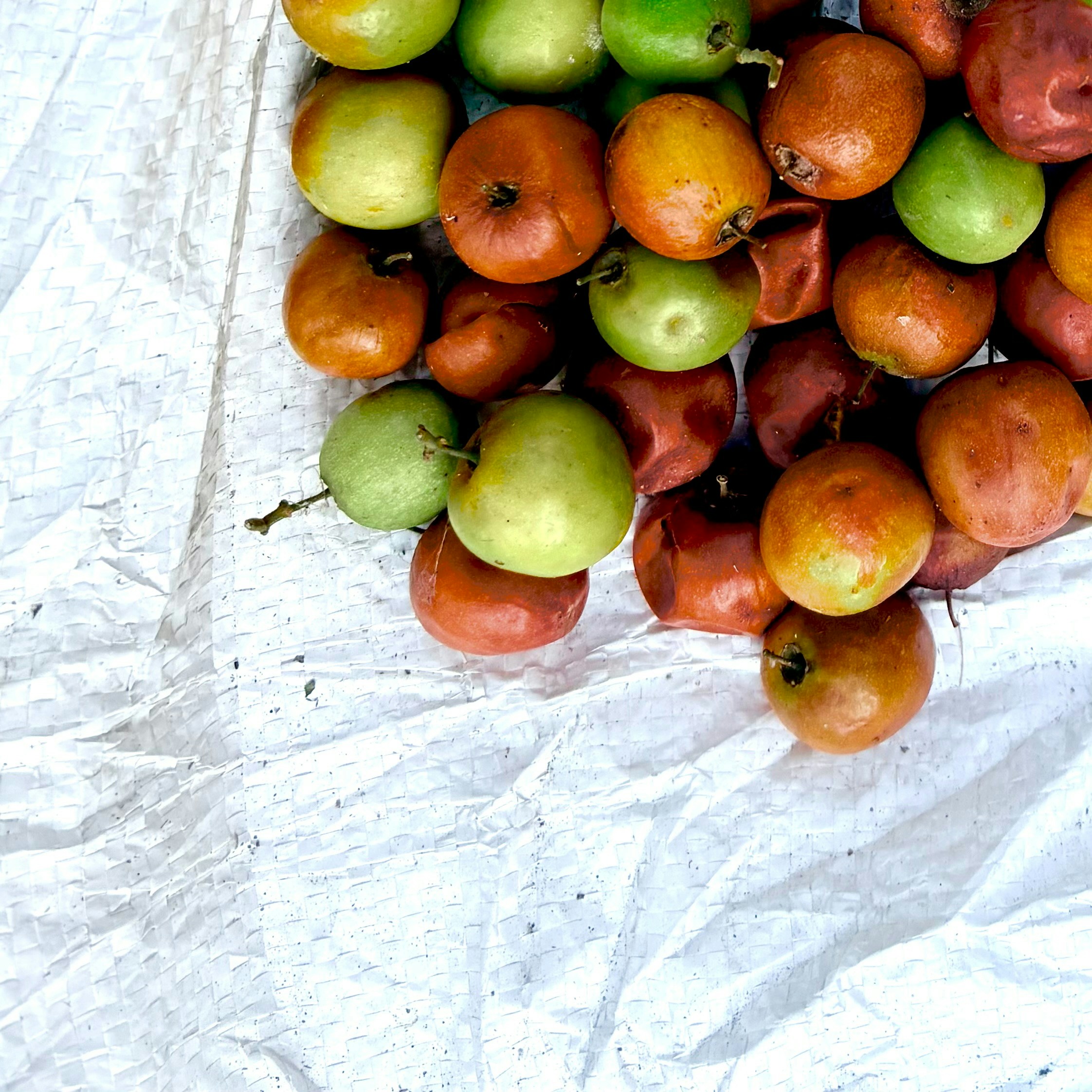 Ashwini Kumar Mishra (@ashash786) | Komunitas Foto Unsplash