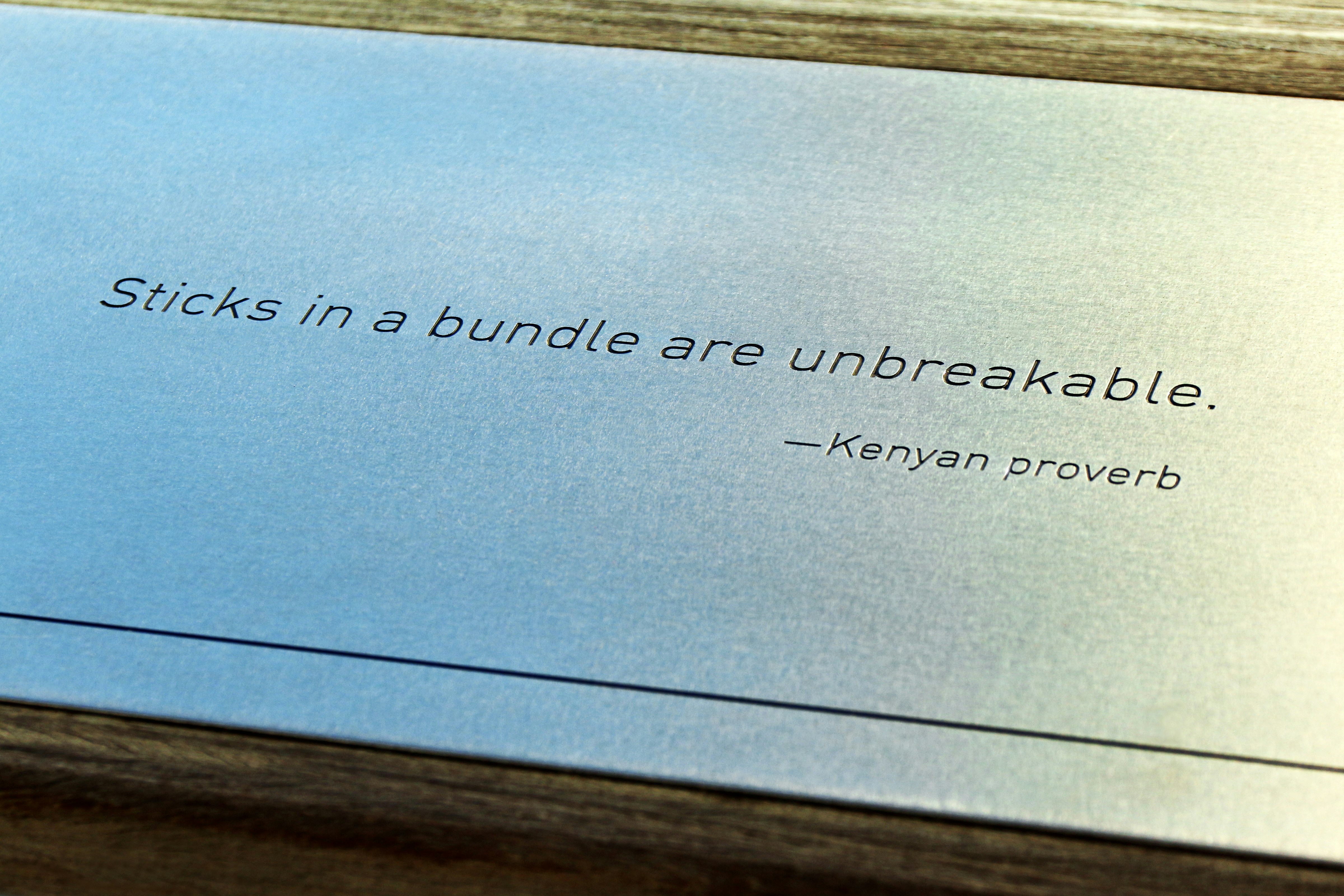 Funniest Little Nicky Quotes Ever That Will Make You LOL