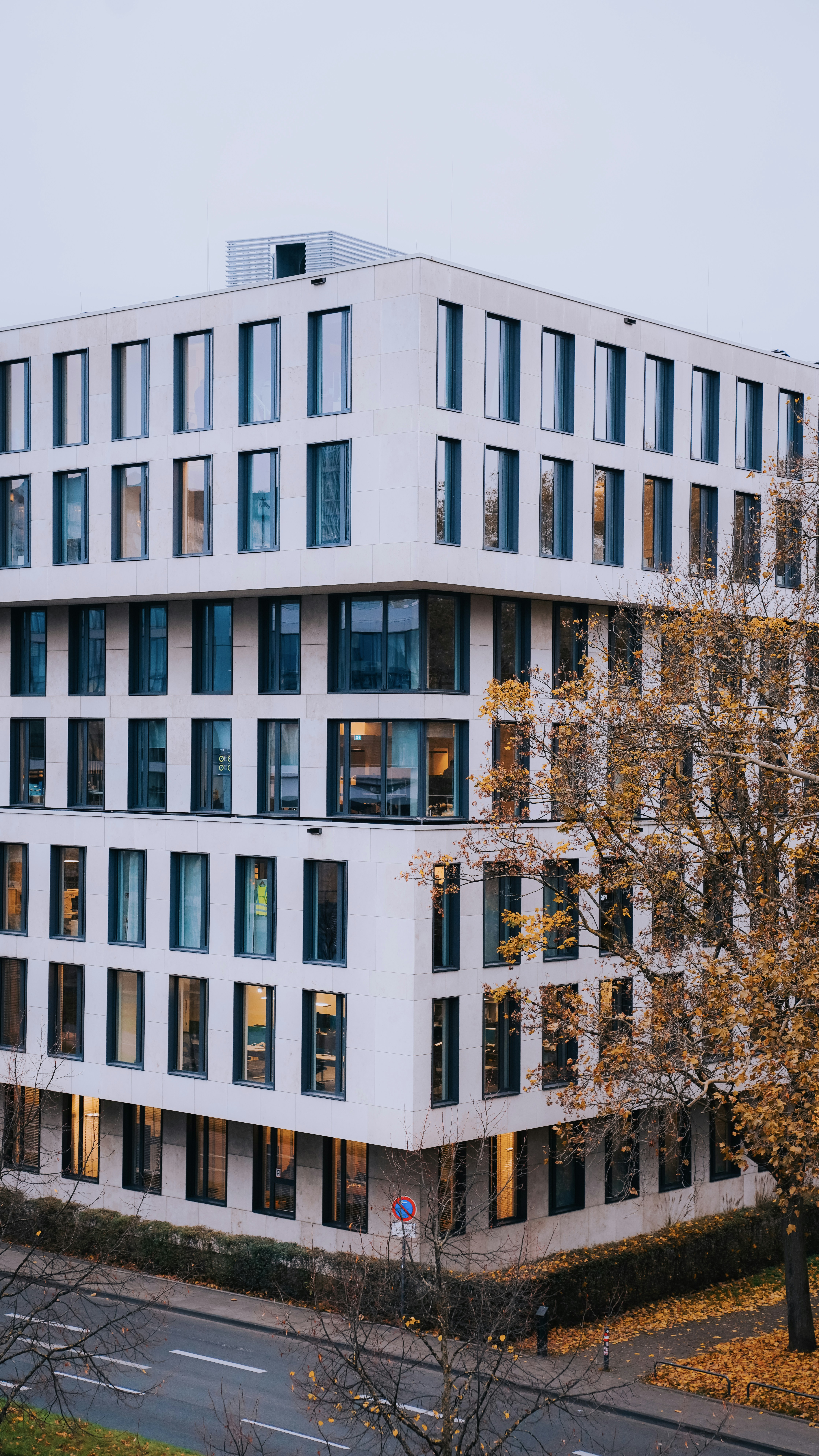 Photo by salahdarwish