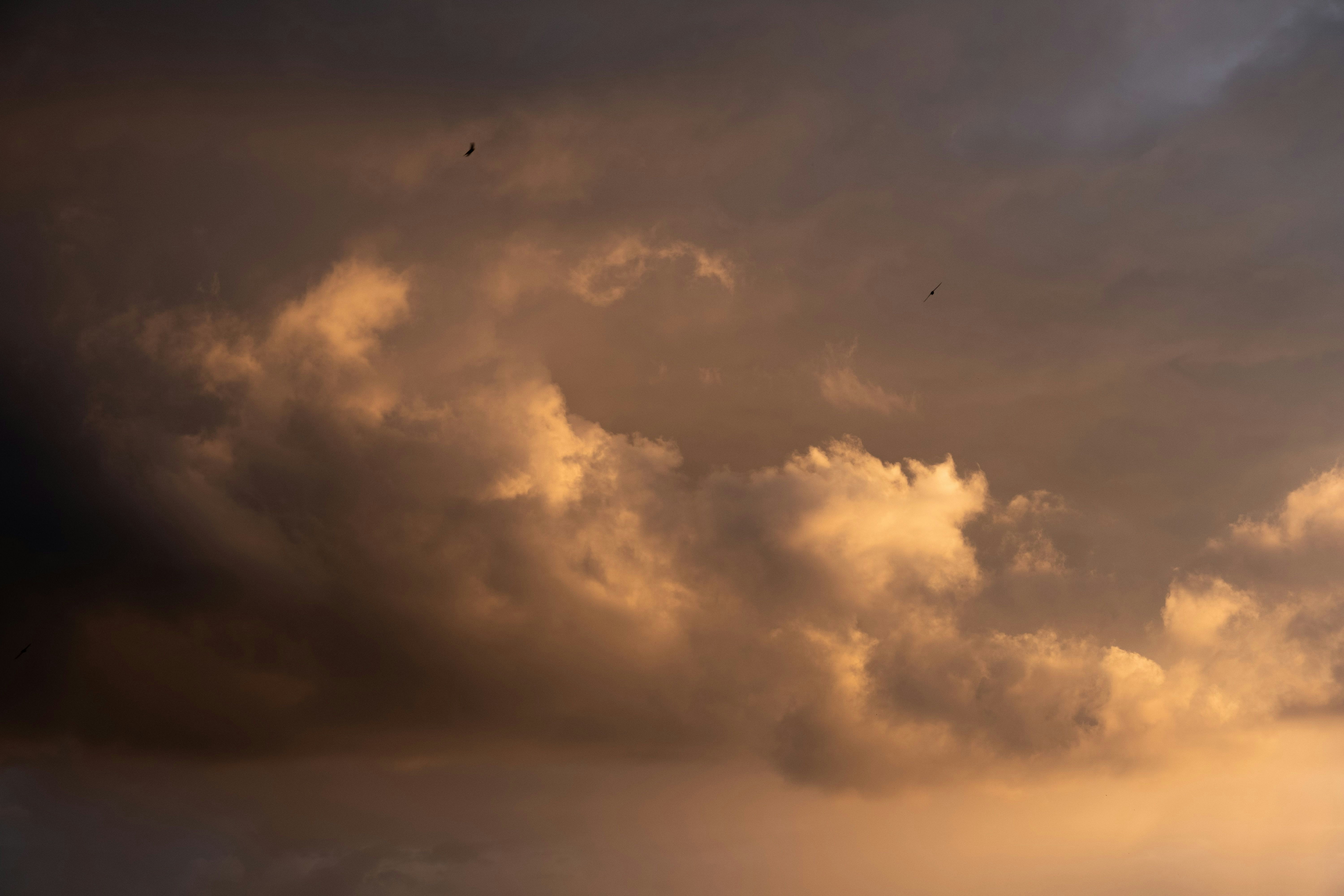 Photo by sevencolors