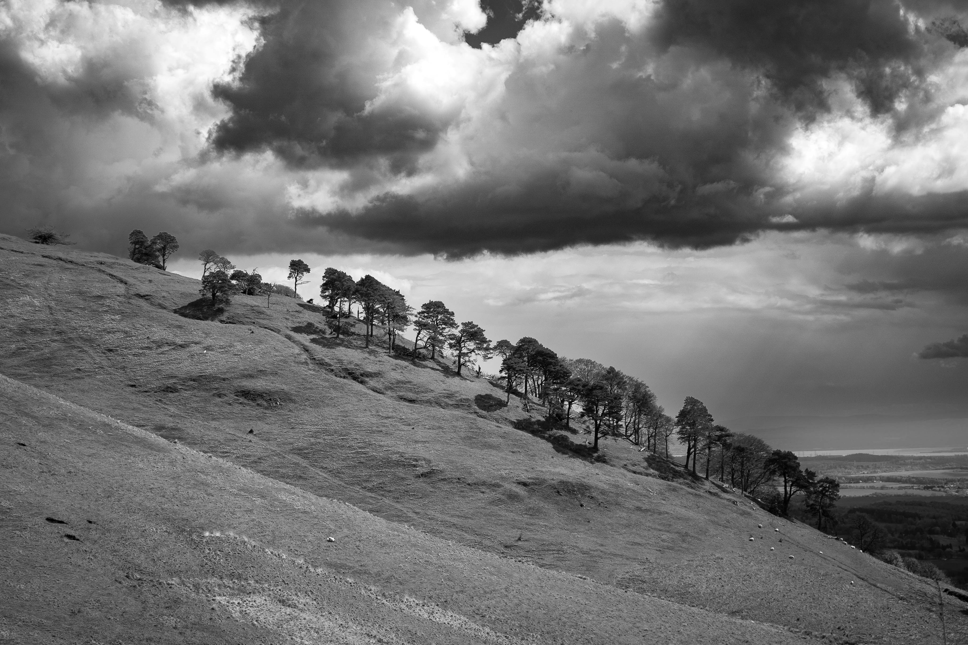 Photo by samdirisio