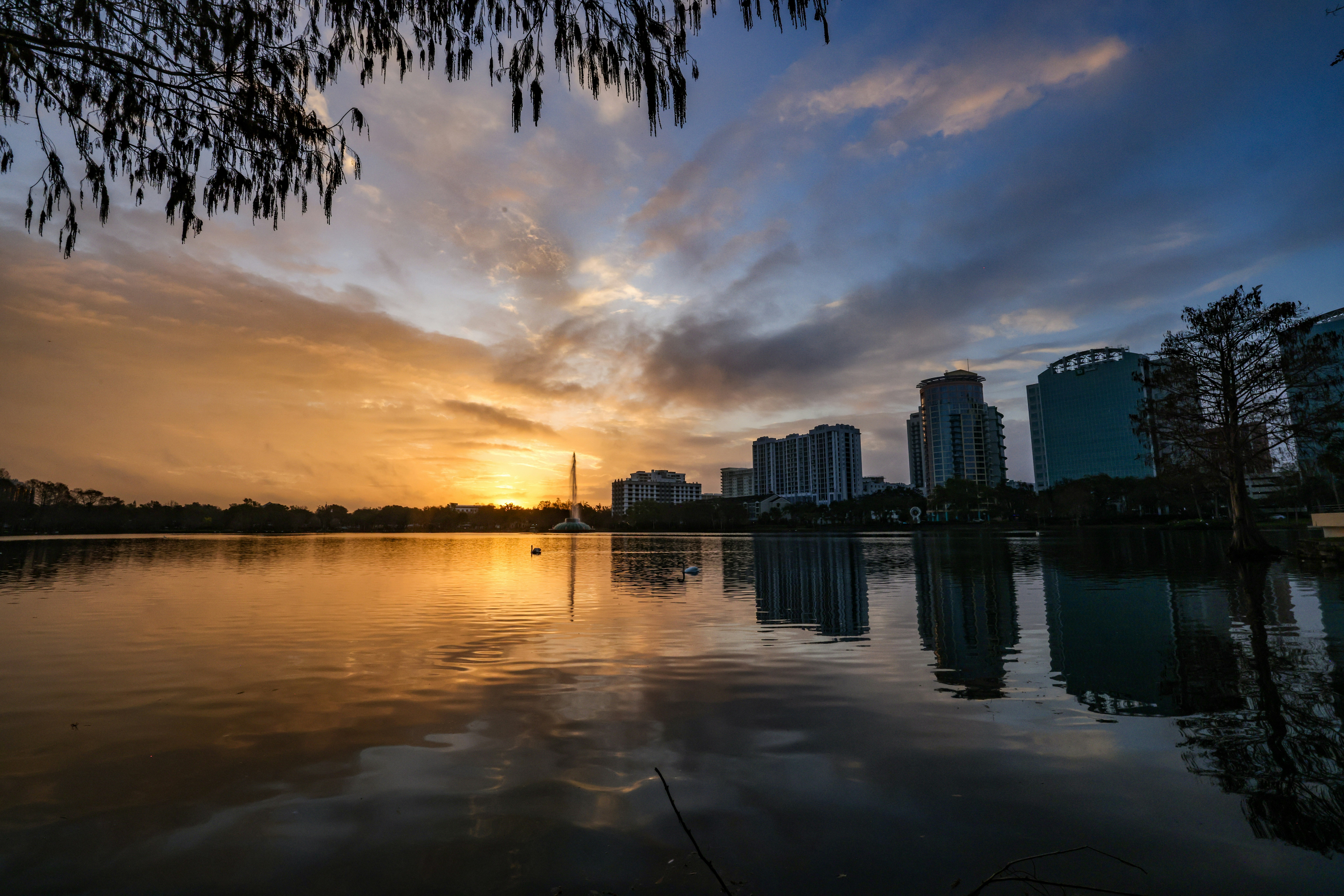 Photo by rocinante_11