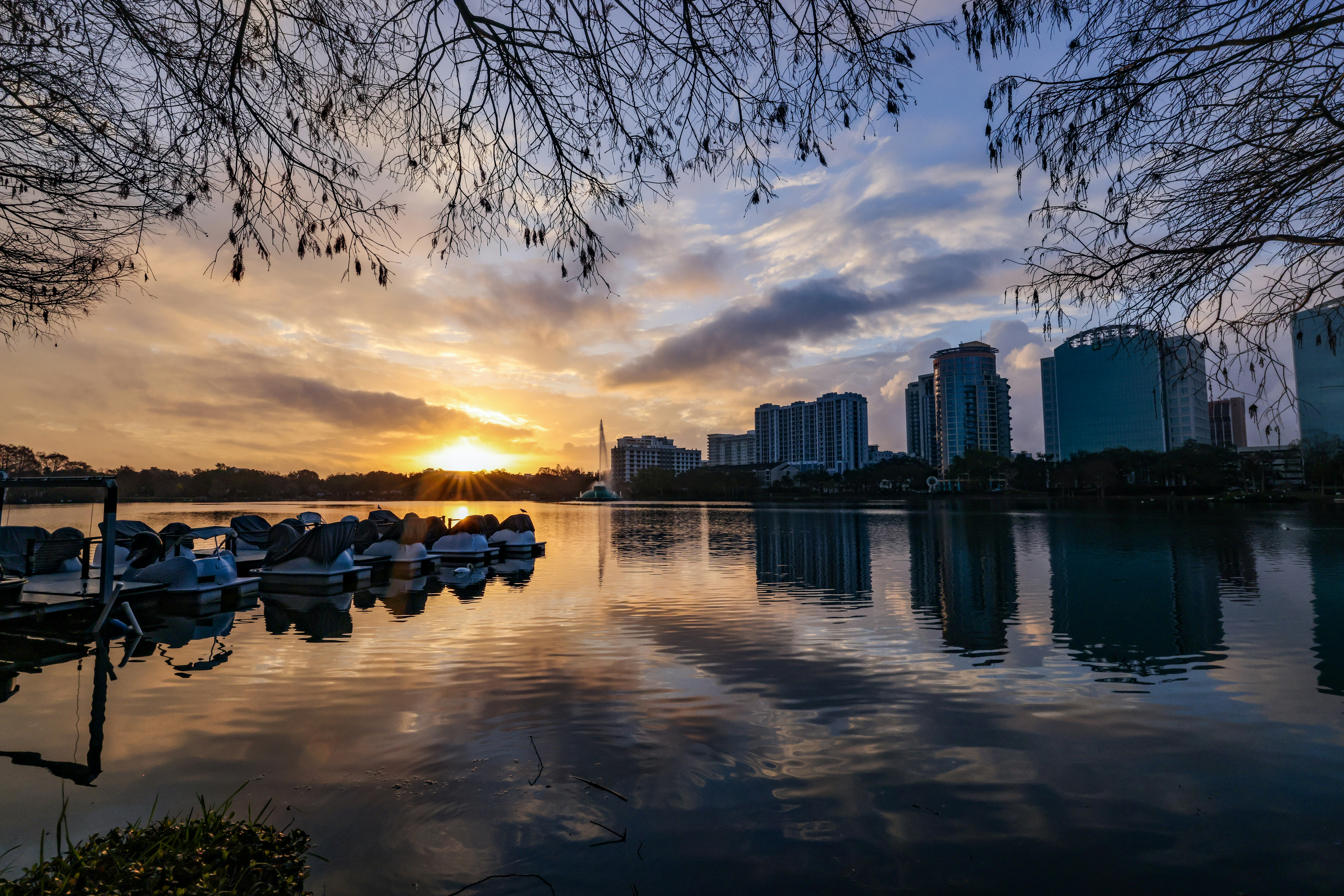 Photo by rocinante_11