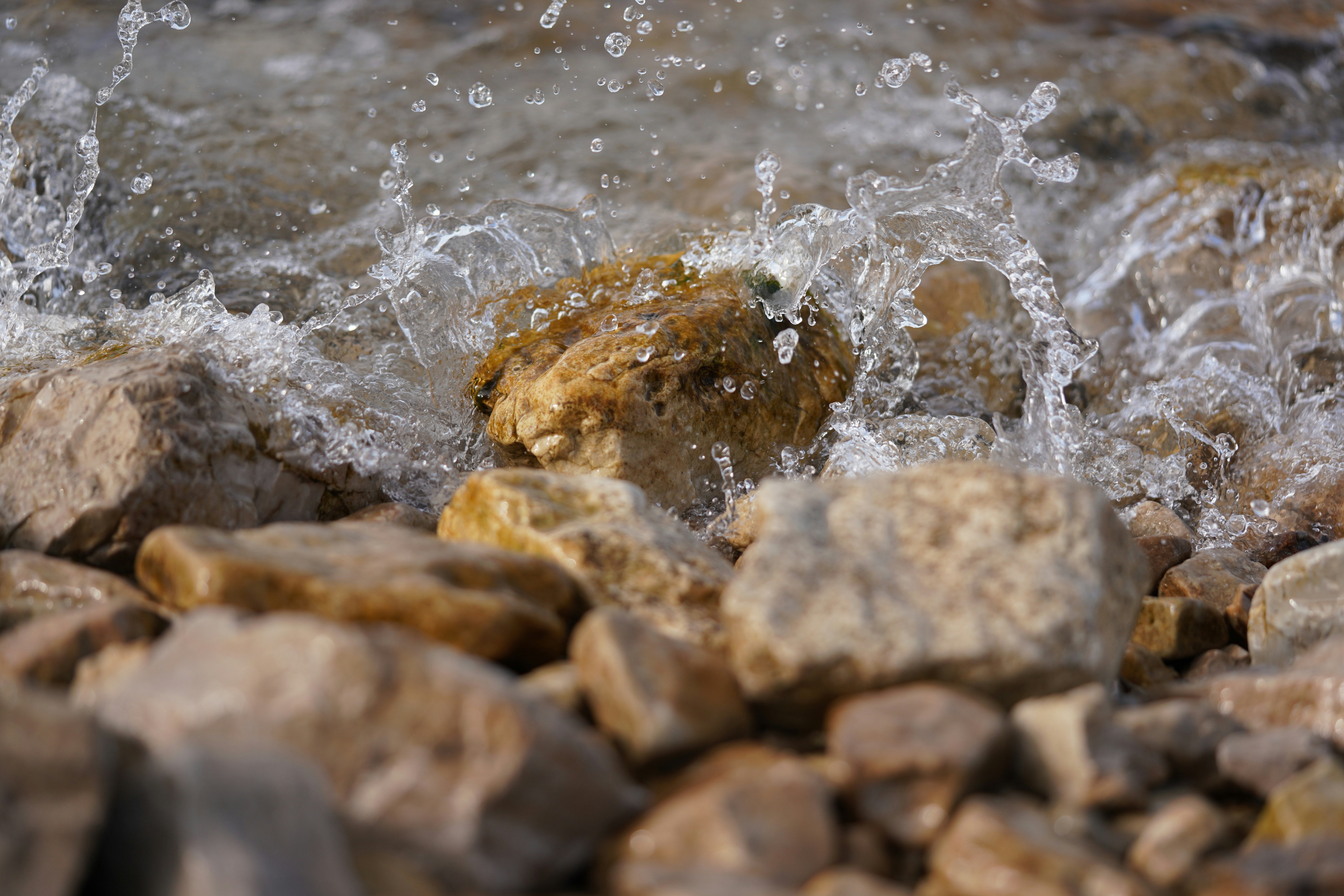 Photo by bugsandslugs