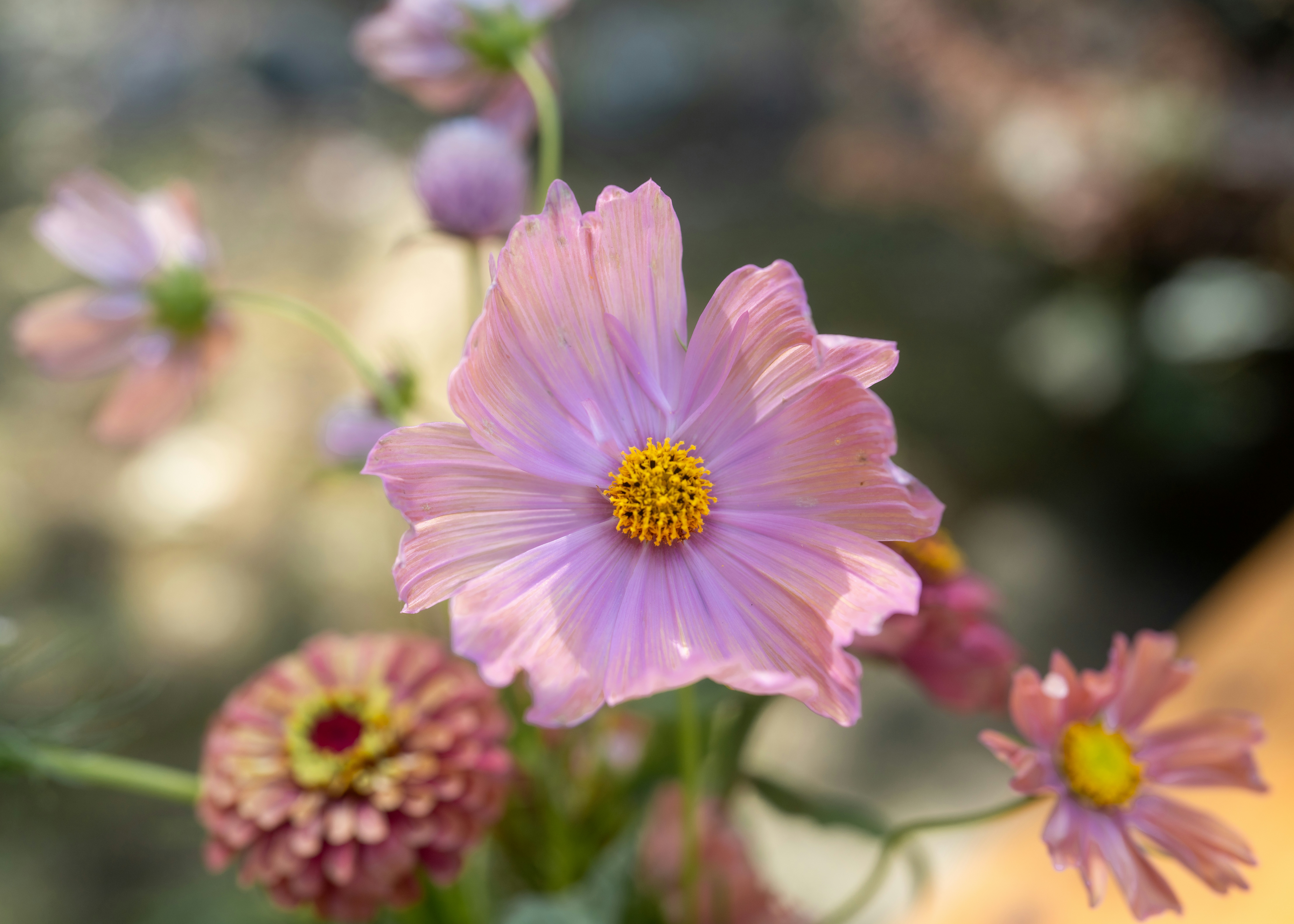 Photo by bugsandslugs