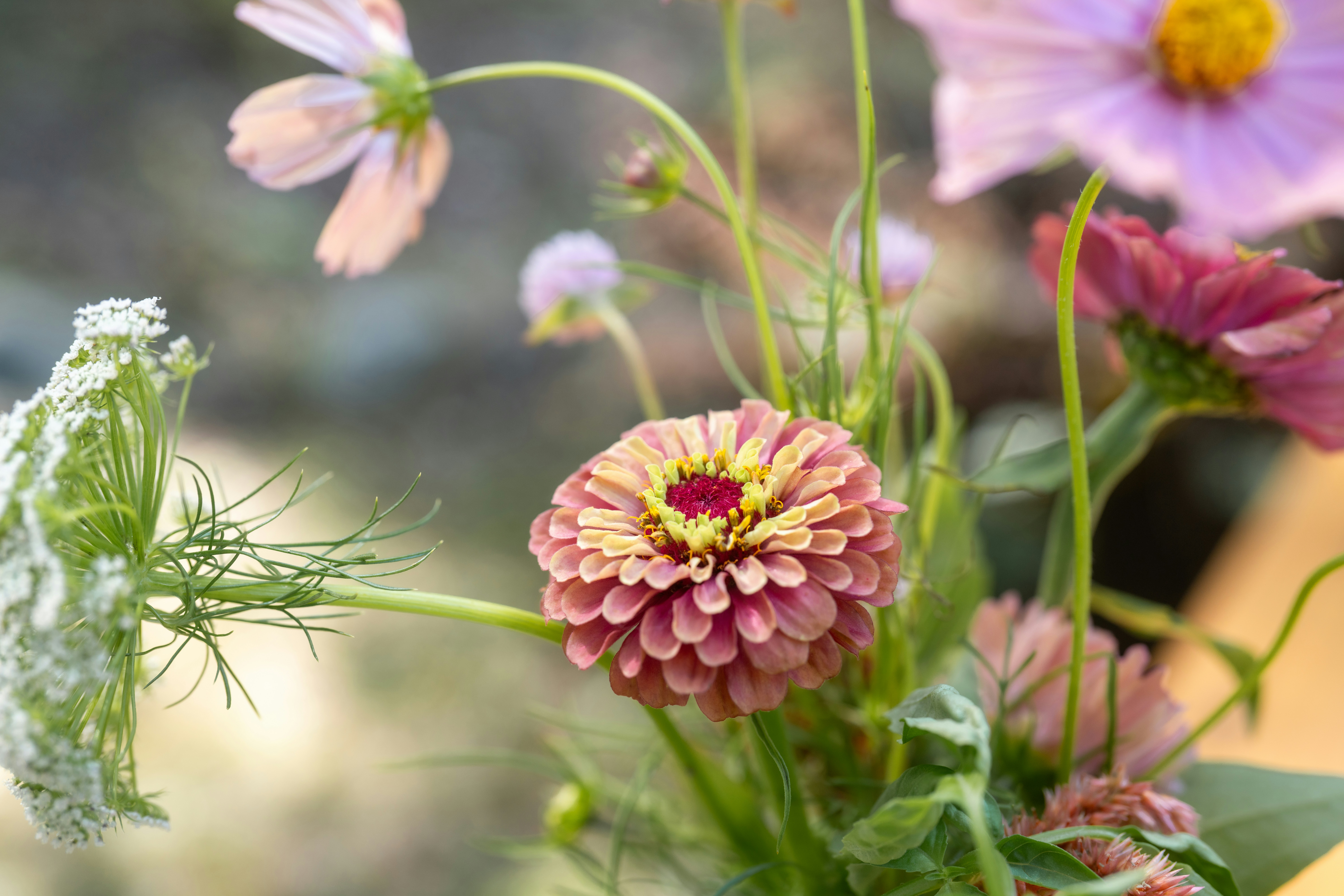 Photo by bugsandslugs