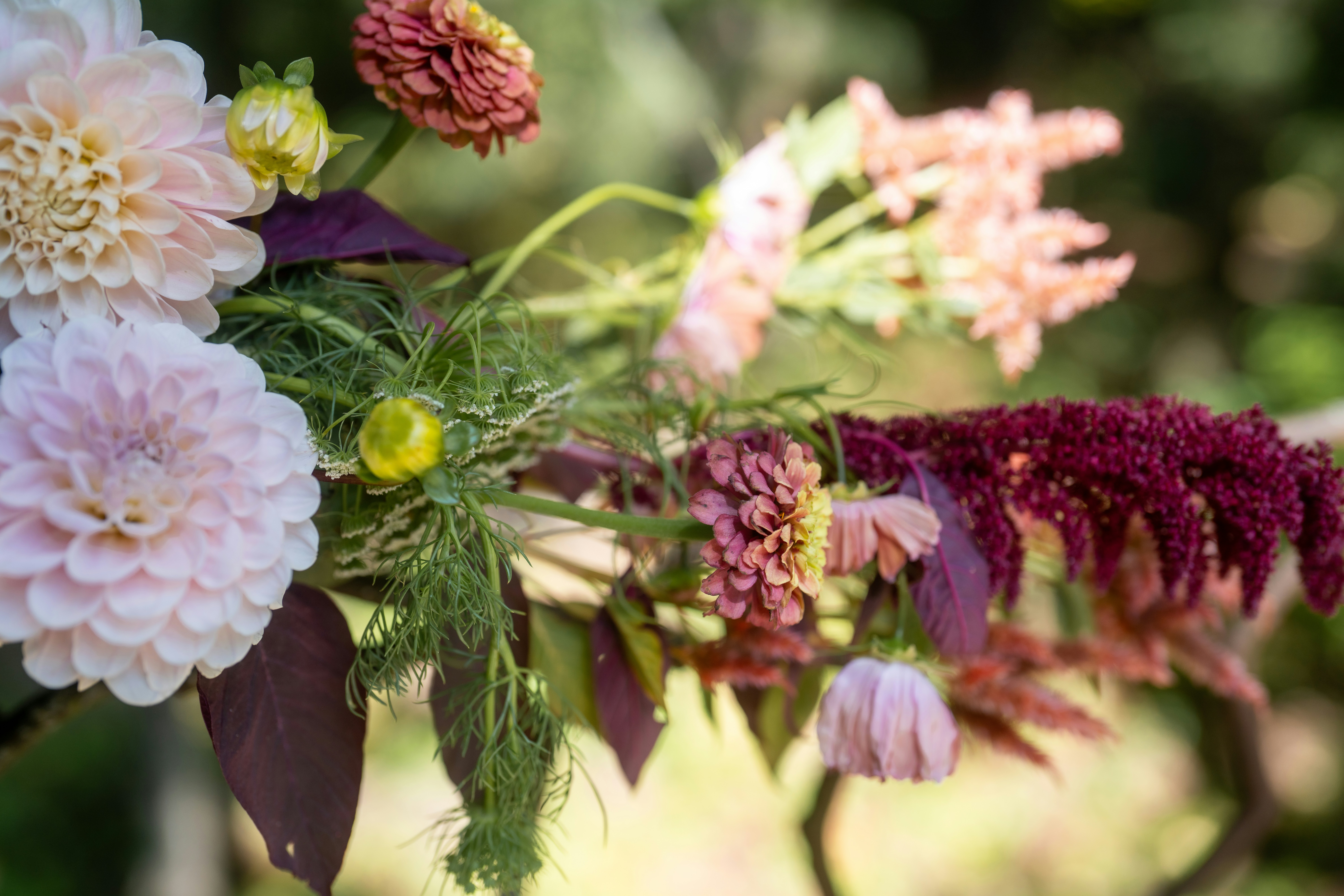 Photo by bugsandslugs