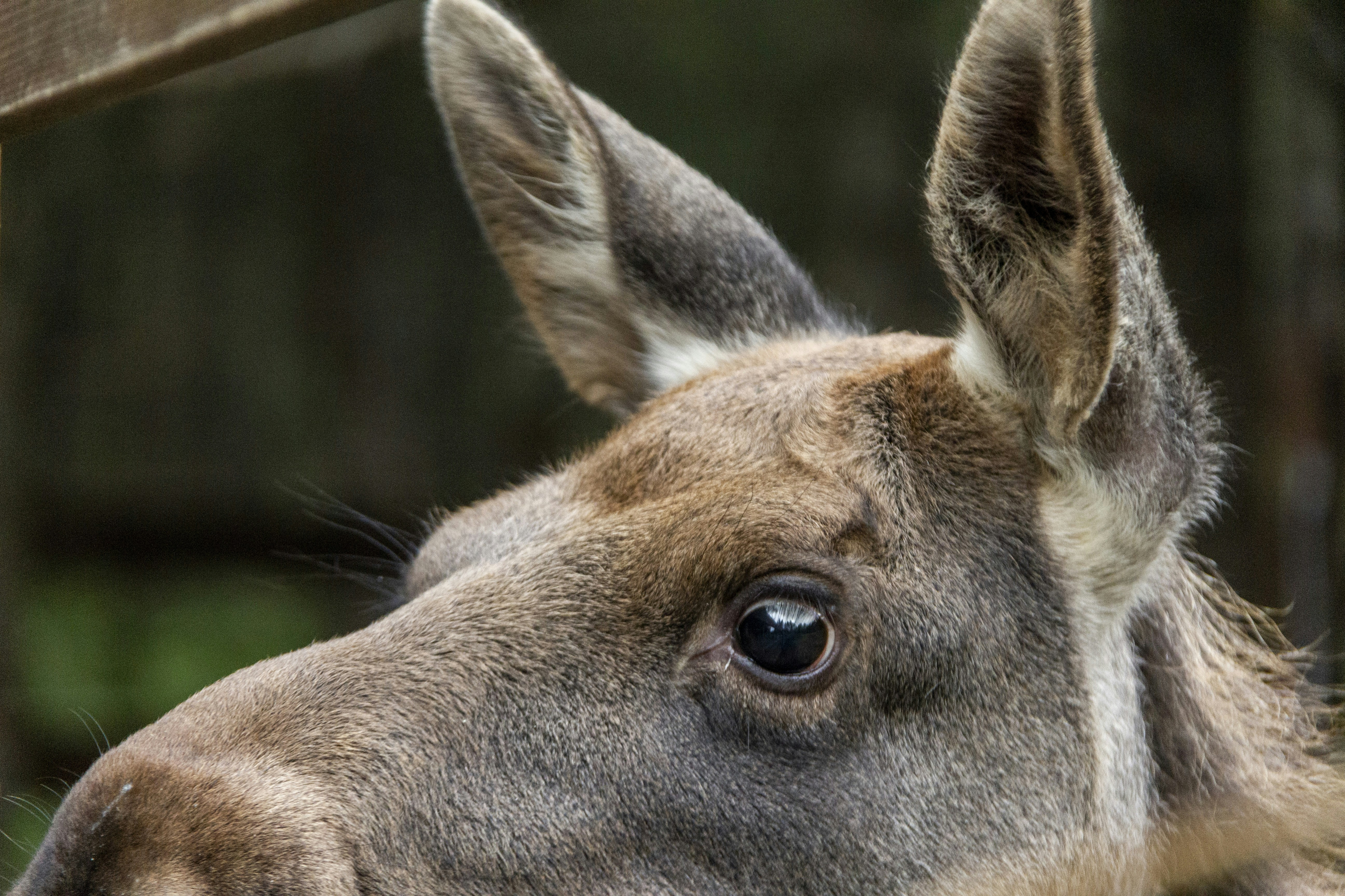 Photo by salty_morning