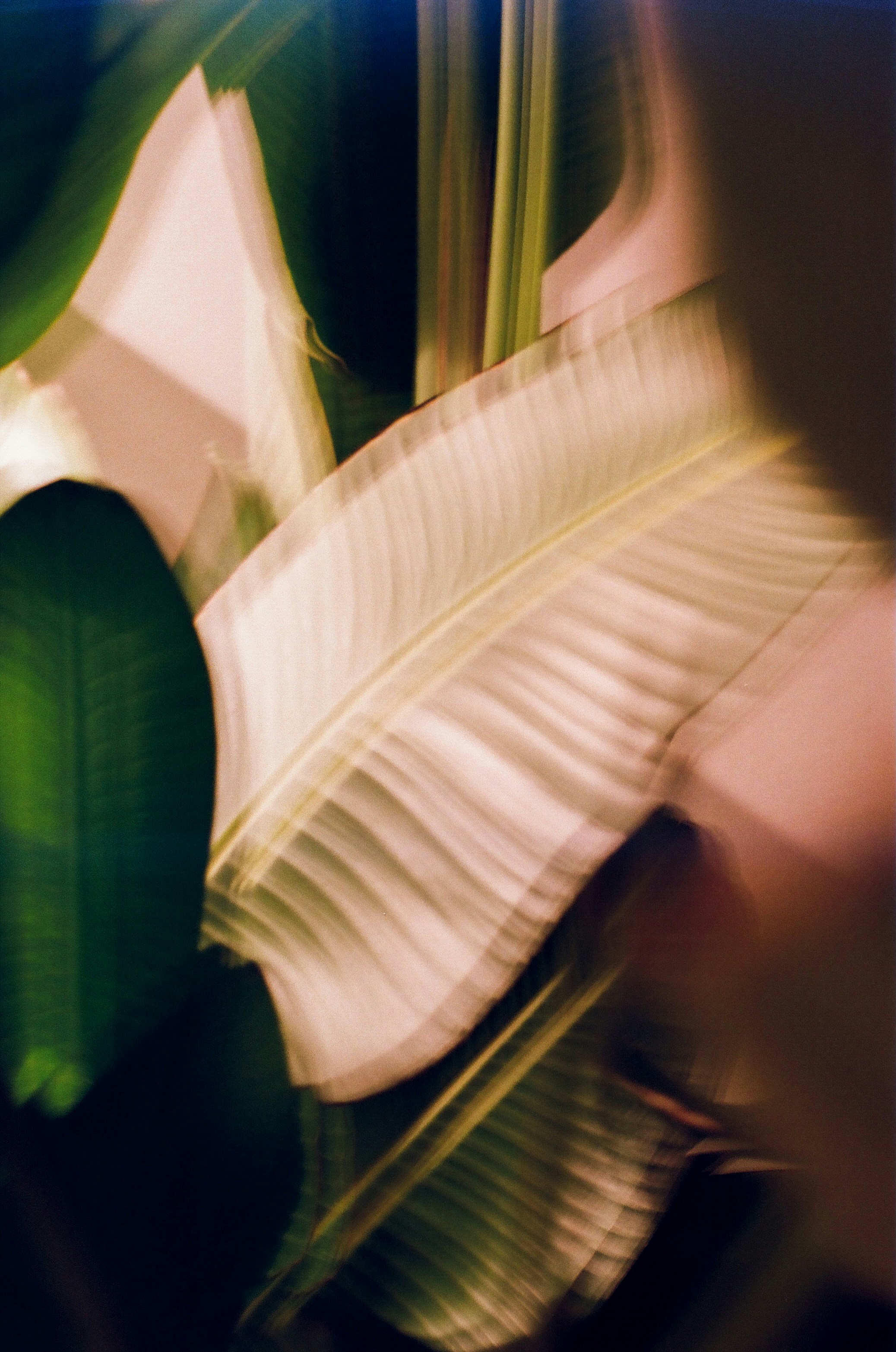 Photo by zoeeefitzgerald