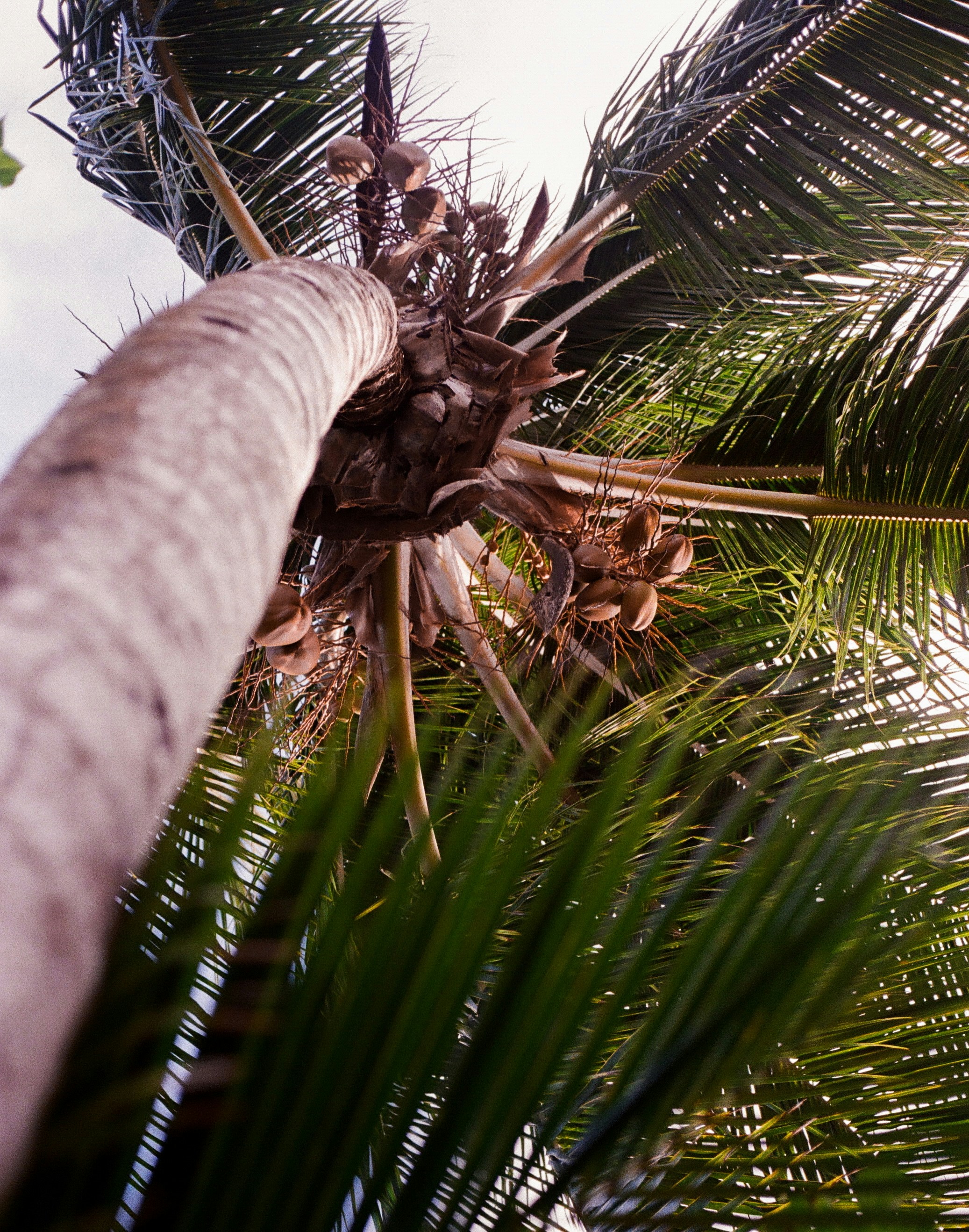 Photo by zoeeefitzgerald