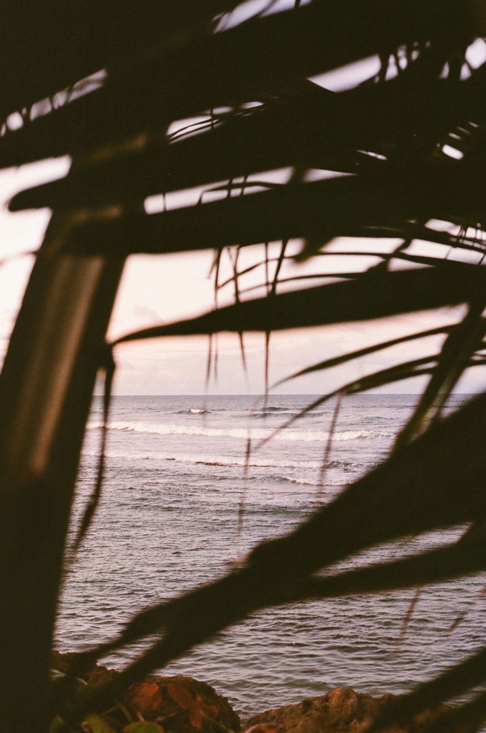 Photo by zoeeefitzgerald