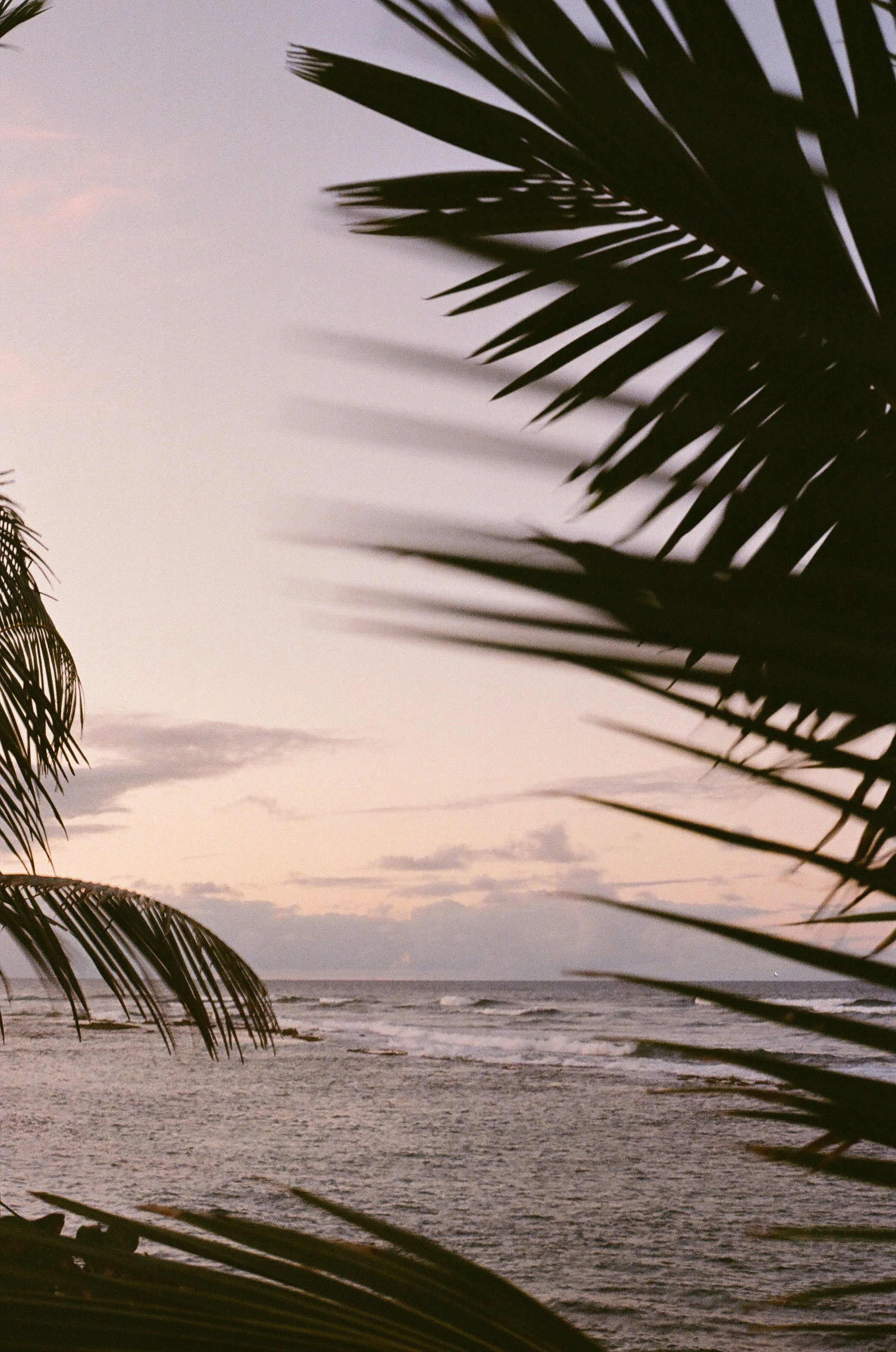 Photo by zoeeefitzgerald