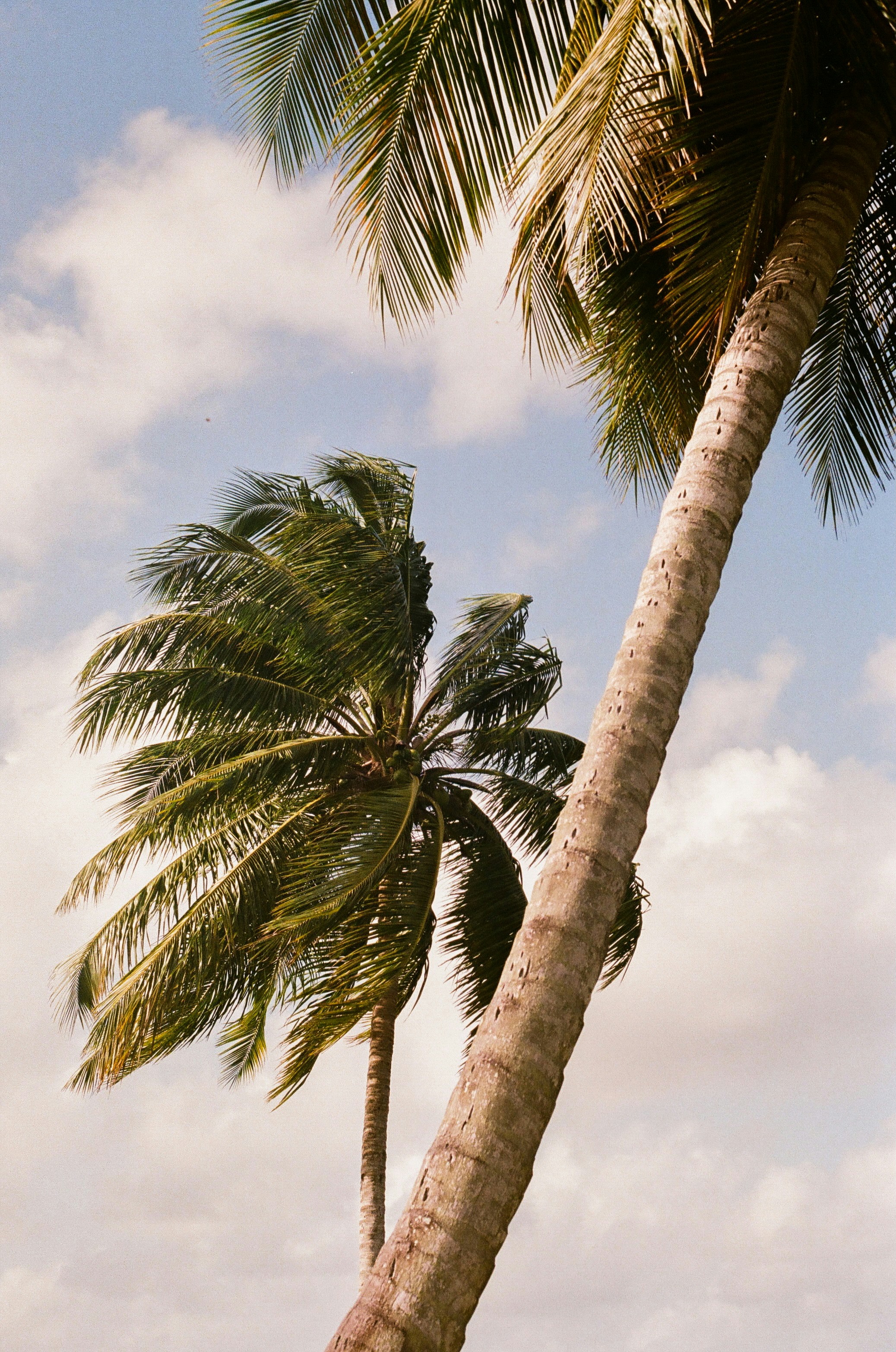 Photo by zoeeefitzgerald