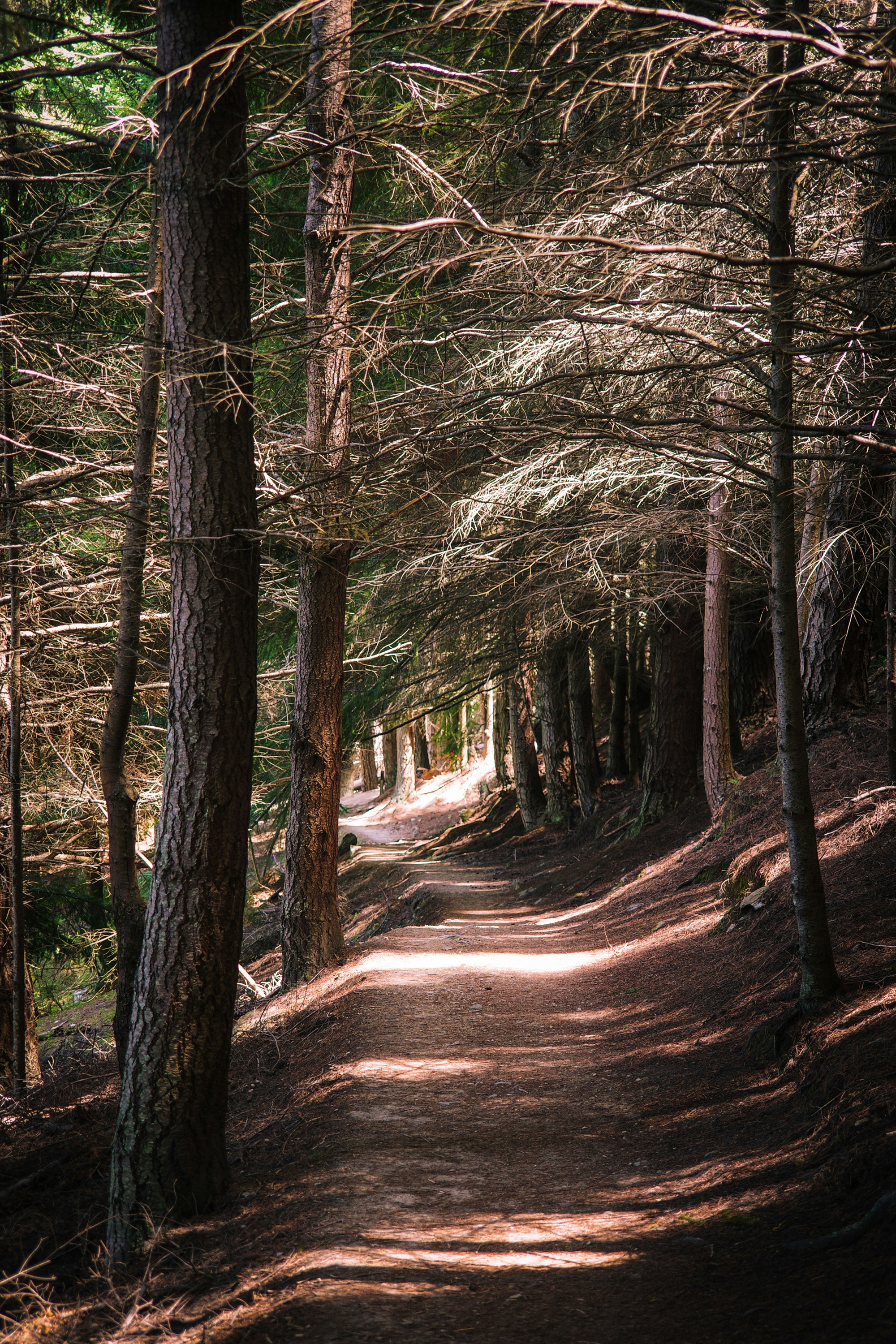 Photo by jamiekettle10