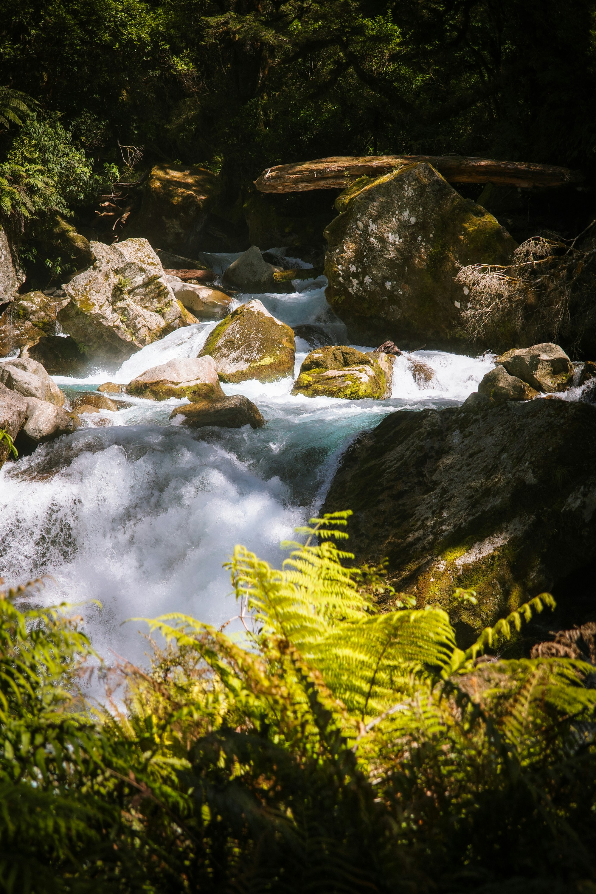 Photo by jamiekettle10