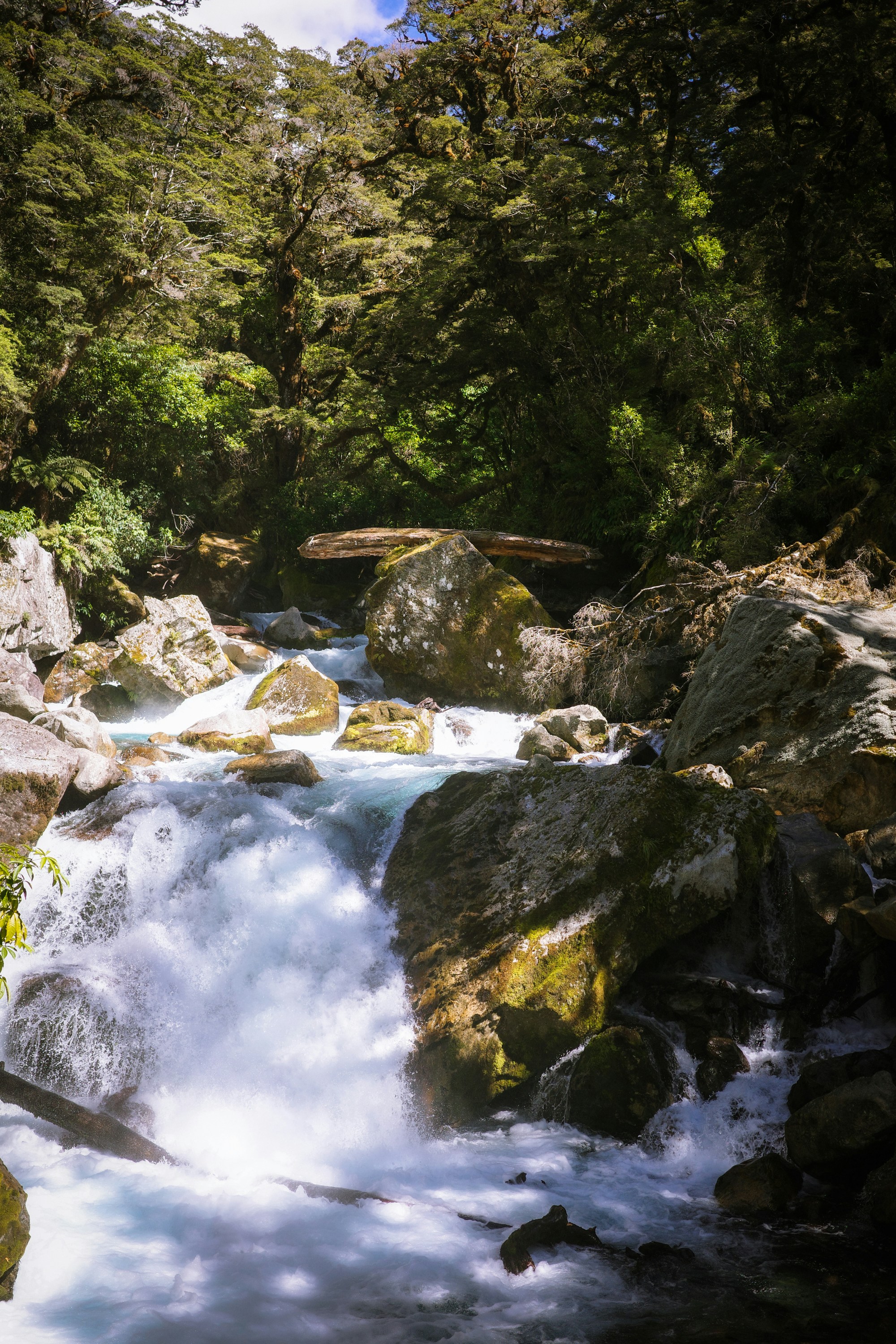 Photo by jamiekettle10