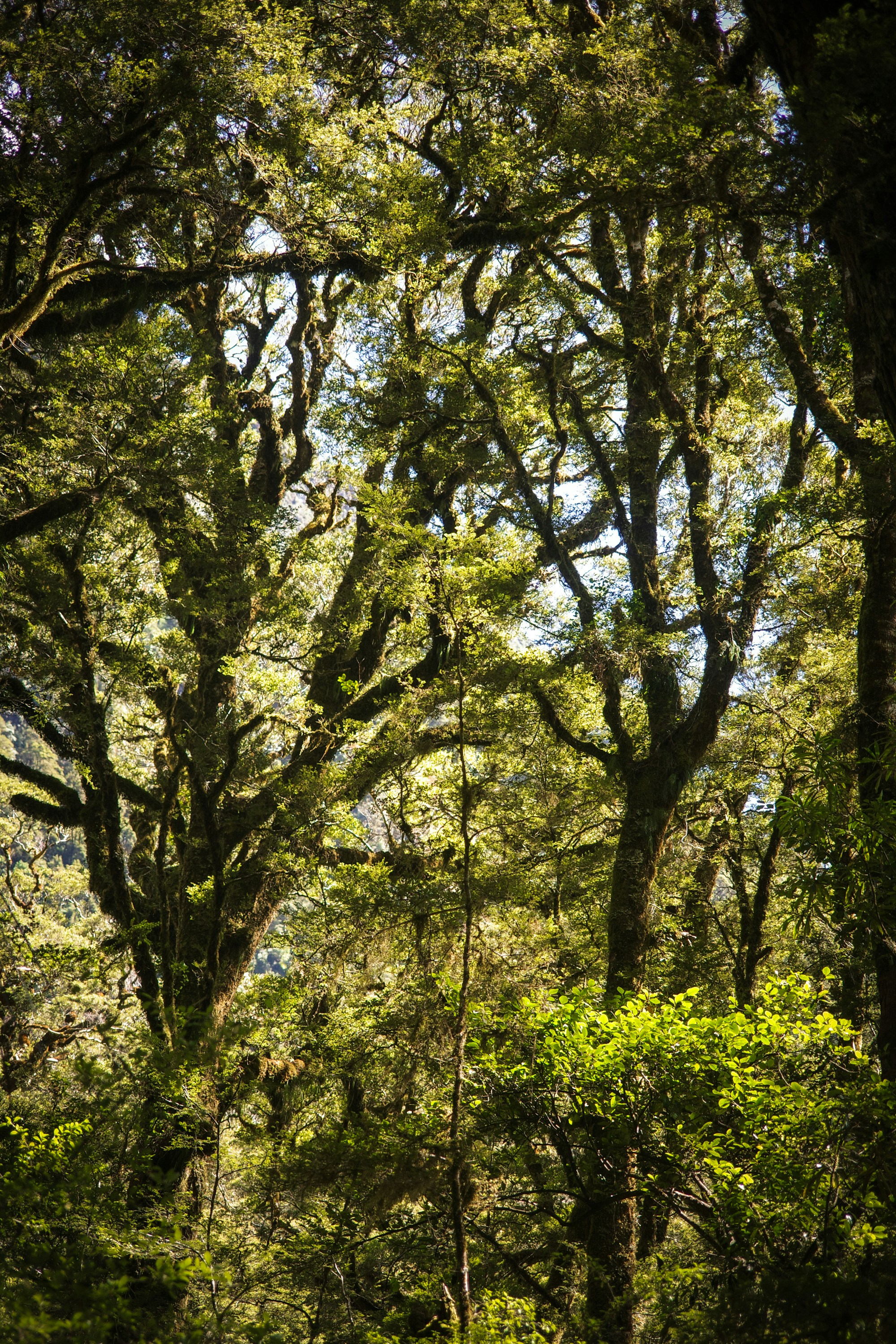 Photo by jamiekettle10