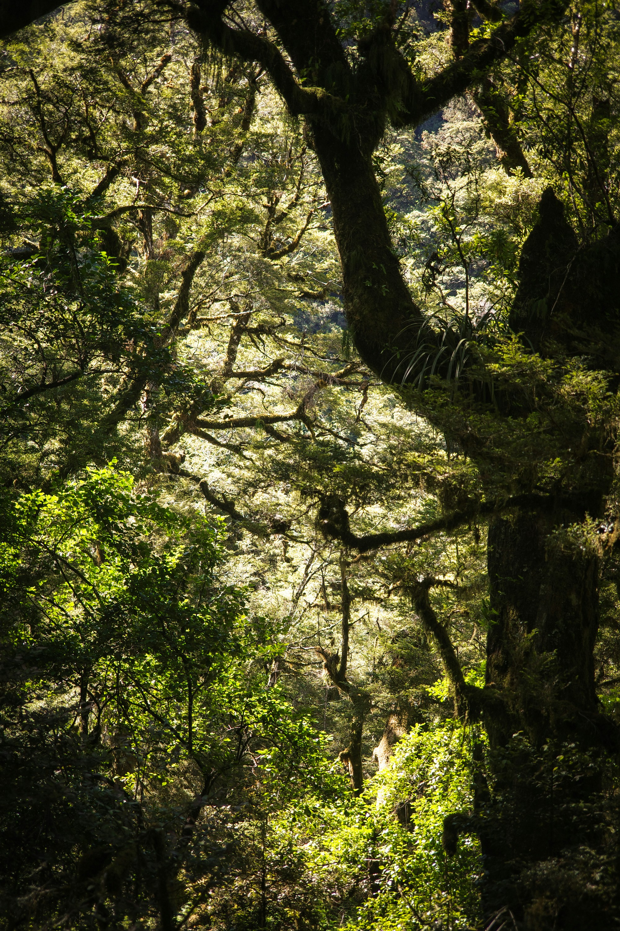 Photo by jamiekettle10