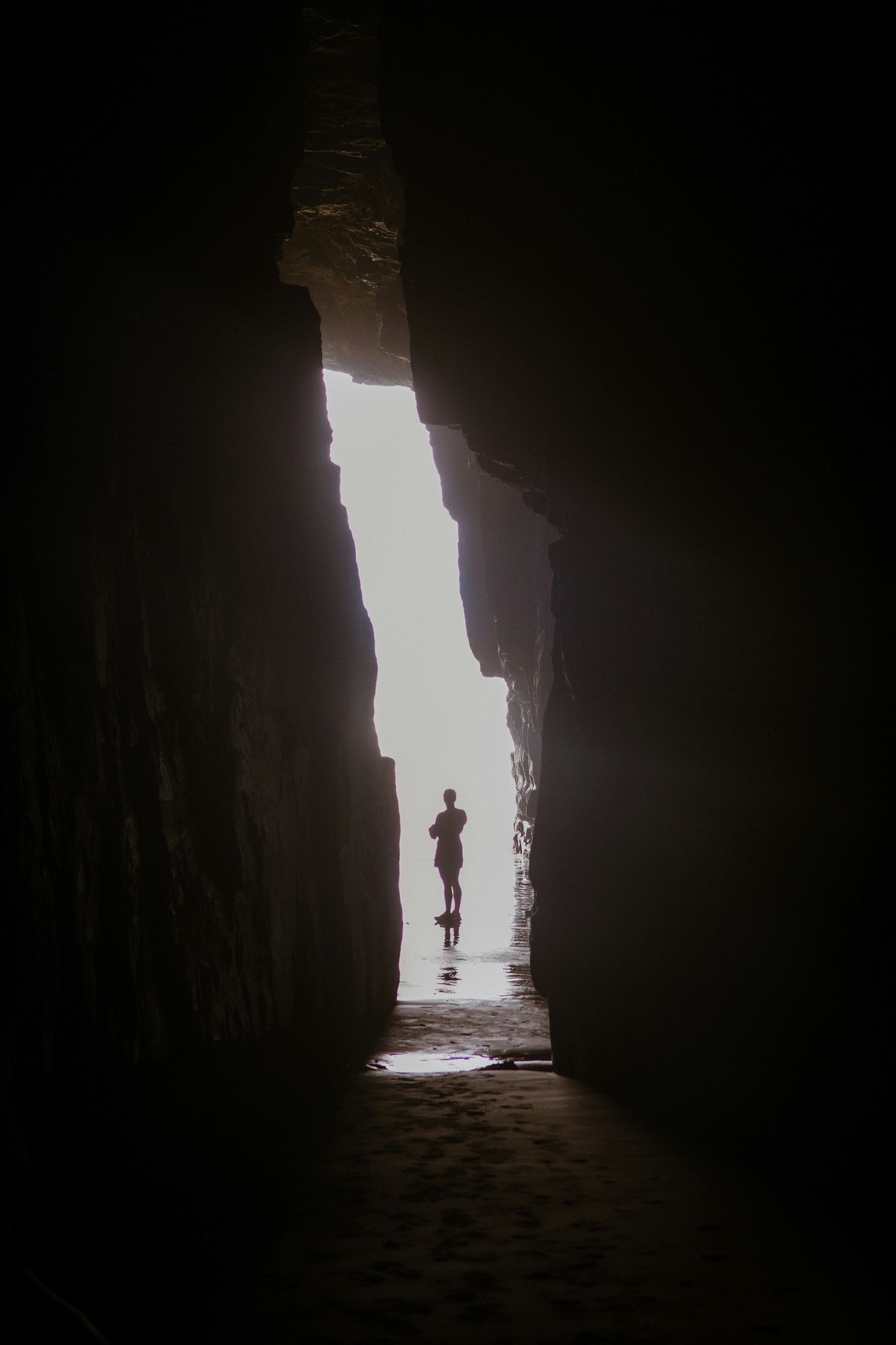 Otago Peninsula - Dunedin