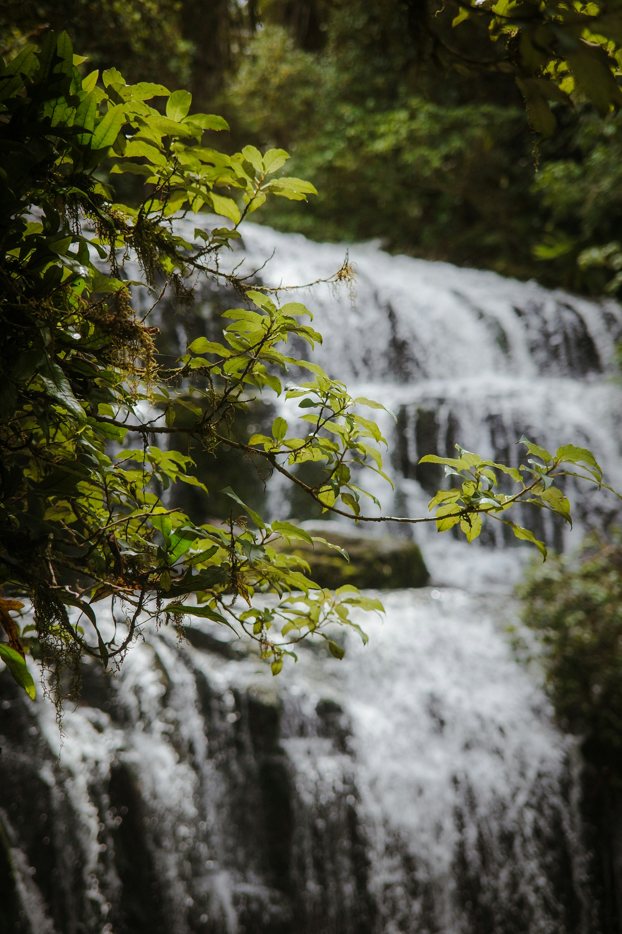 Photo by jamiekettle10