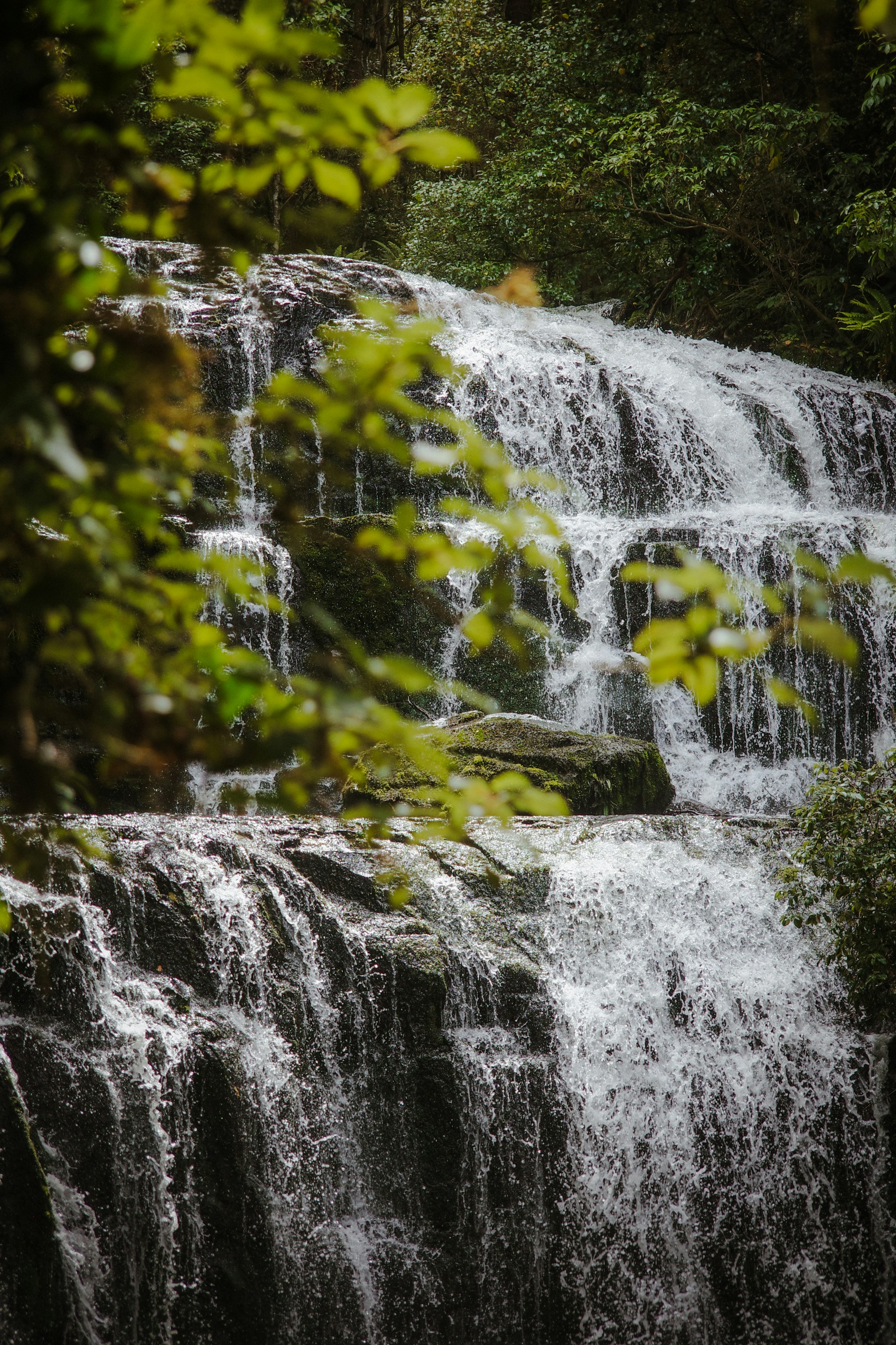 Photo by jamiekettle10